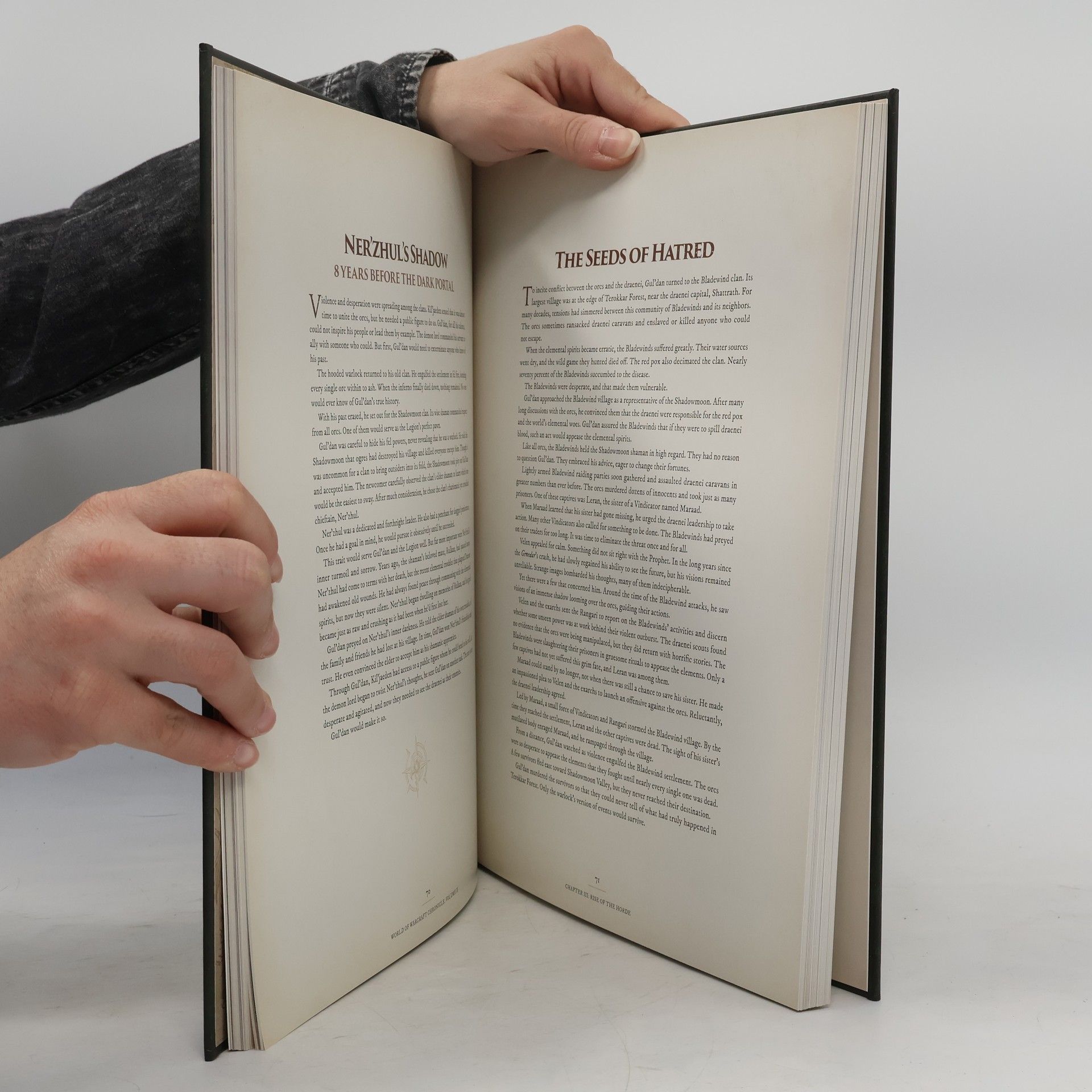 Chris Metzen World of Warcraft chronicle: volume II