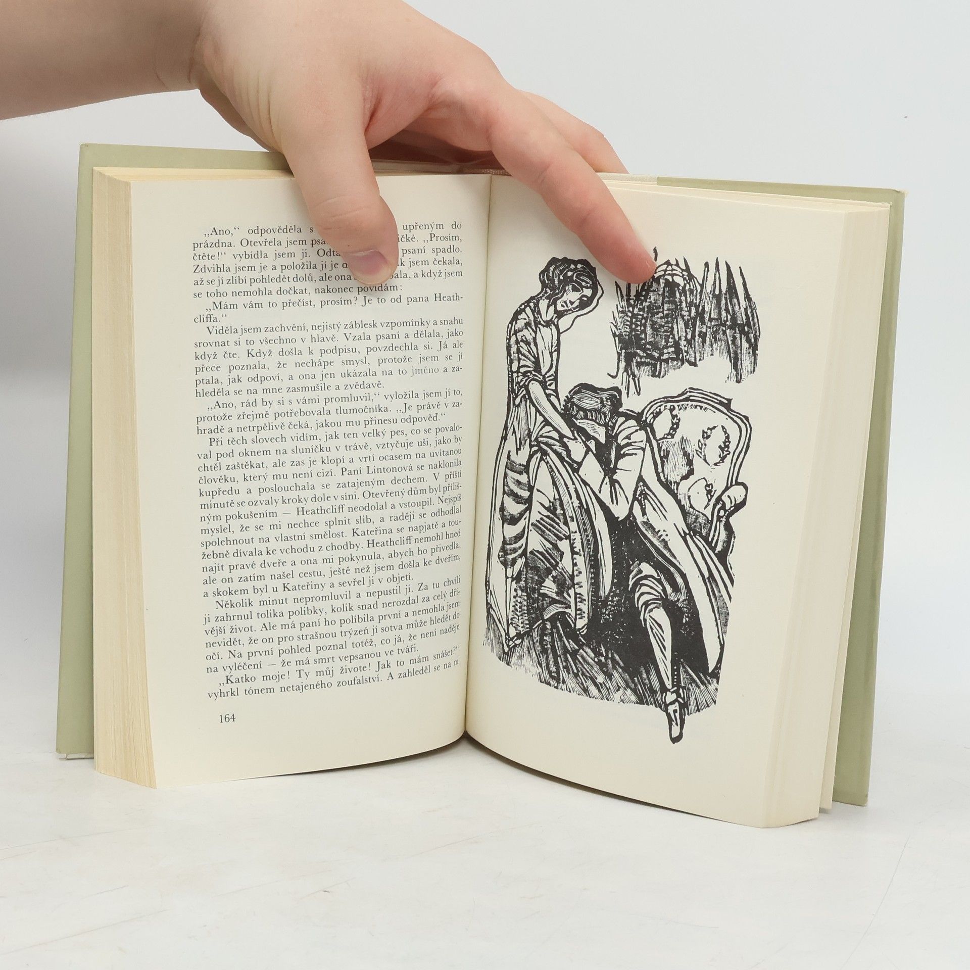 Emily Brontë Na Větrné hůrce