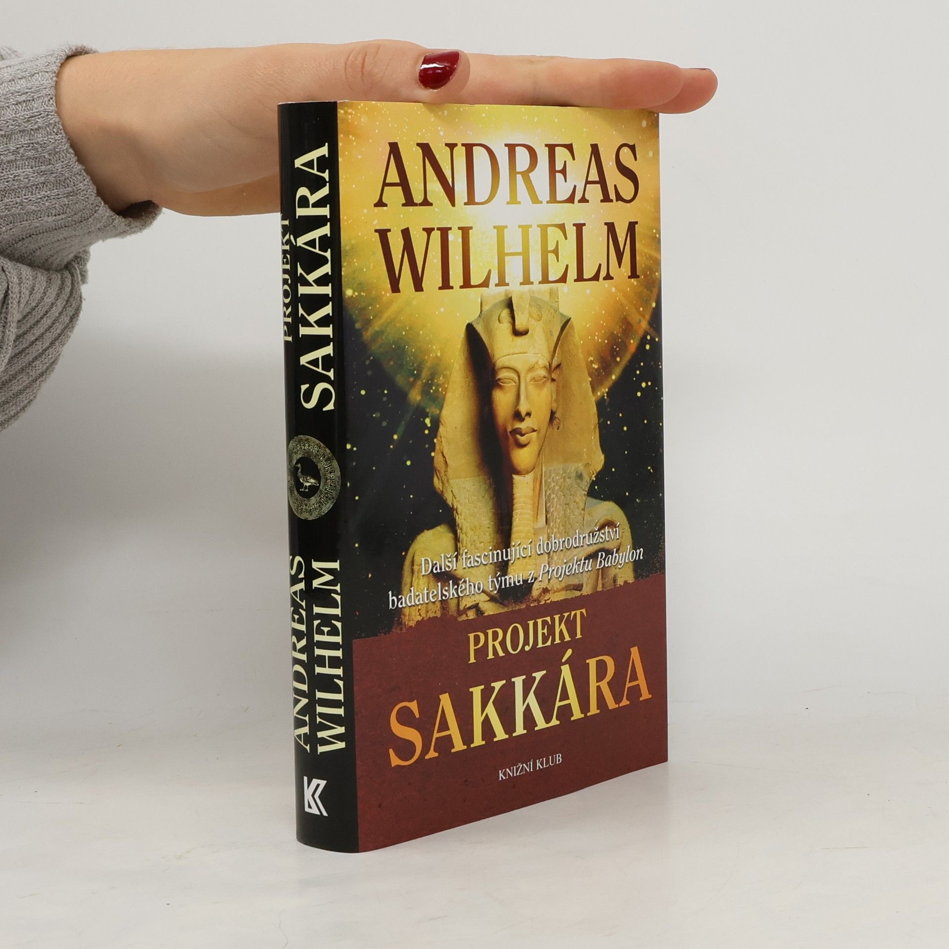 Andreas Wilhelm Projekt Sakkára