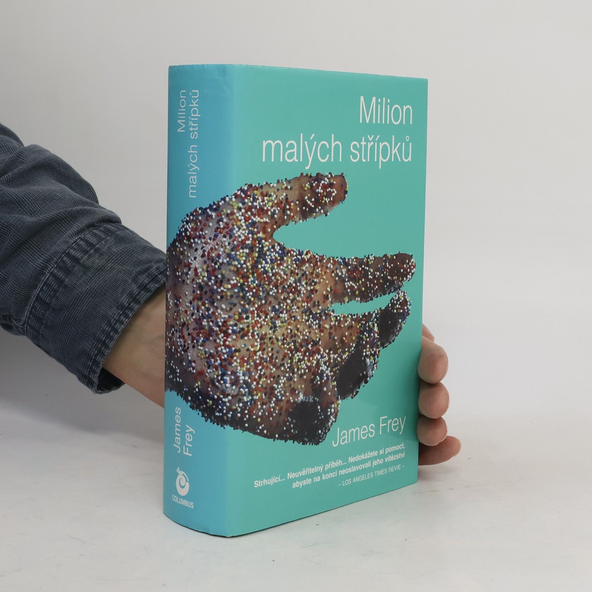 James Frey Milion malých střípků