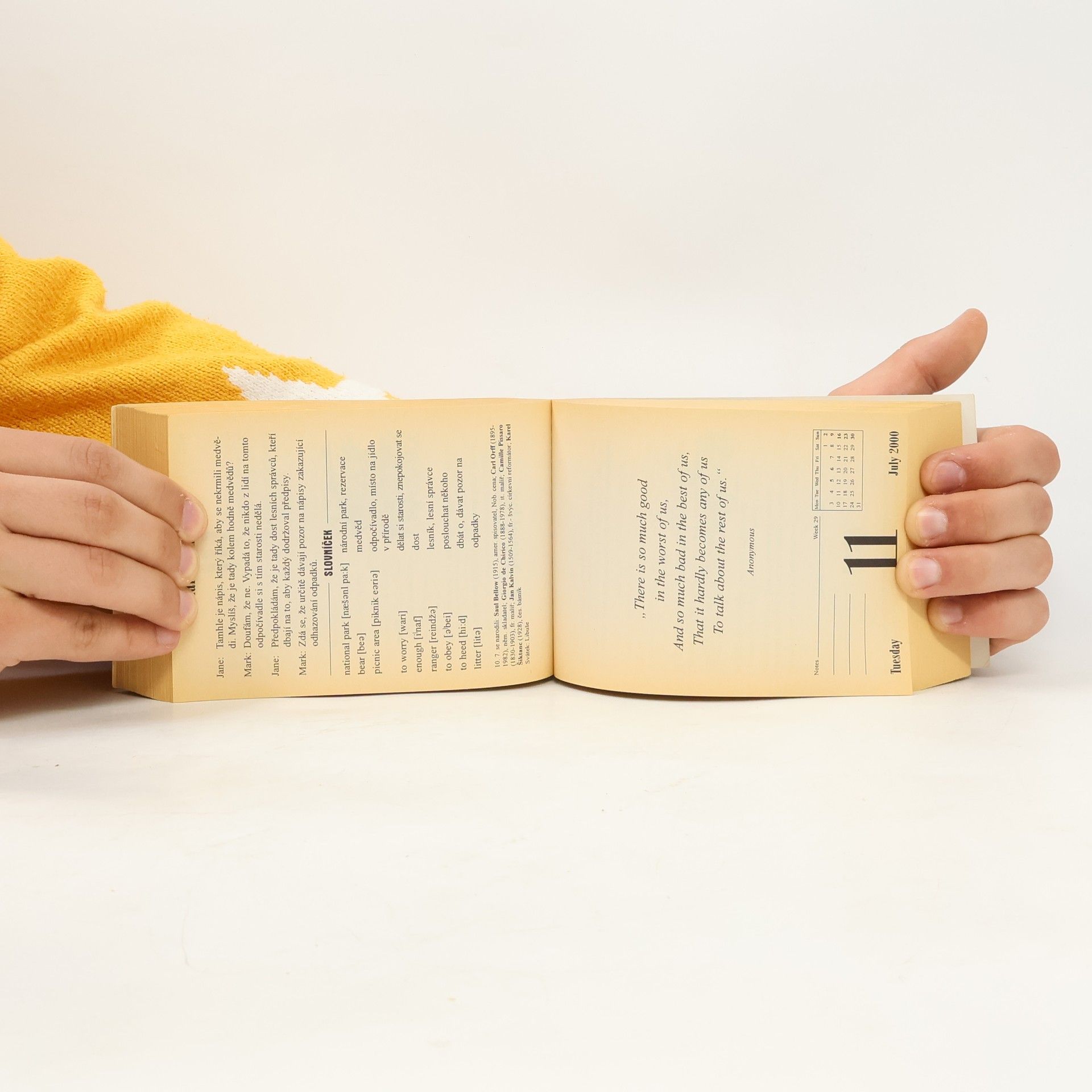 Autorenkollektiv Angličtina na každý den 2000 kalendář