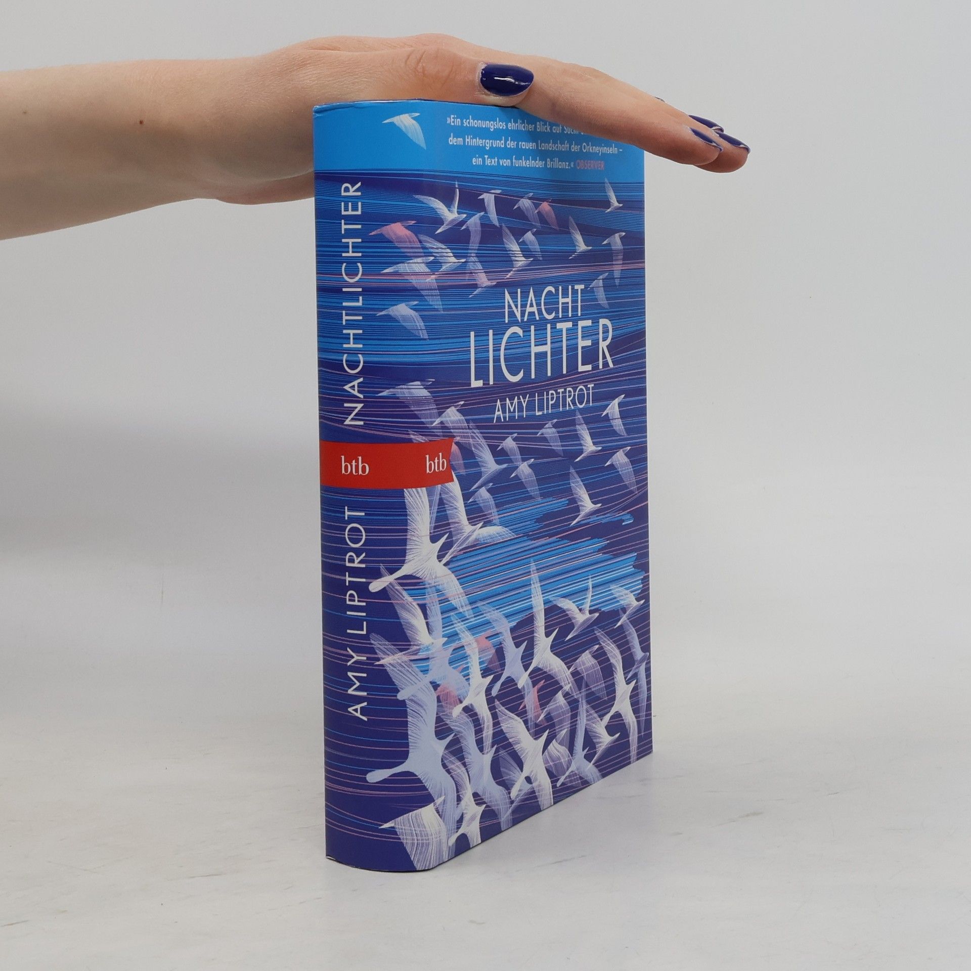 Amy Liptrot Nachtlichter