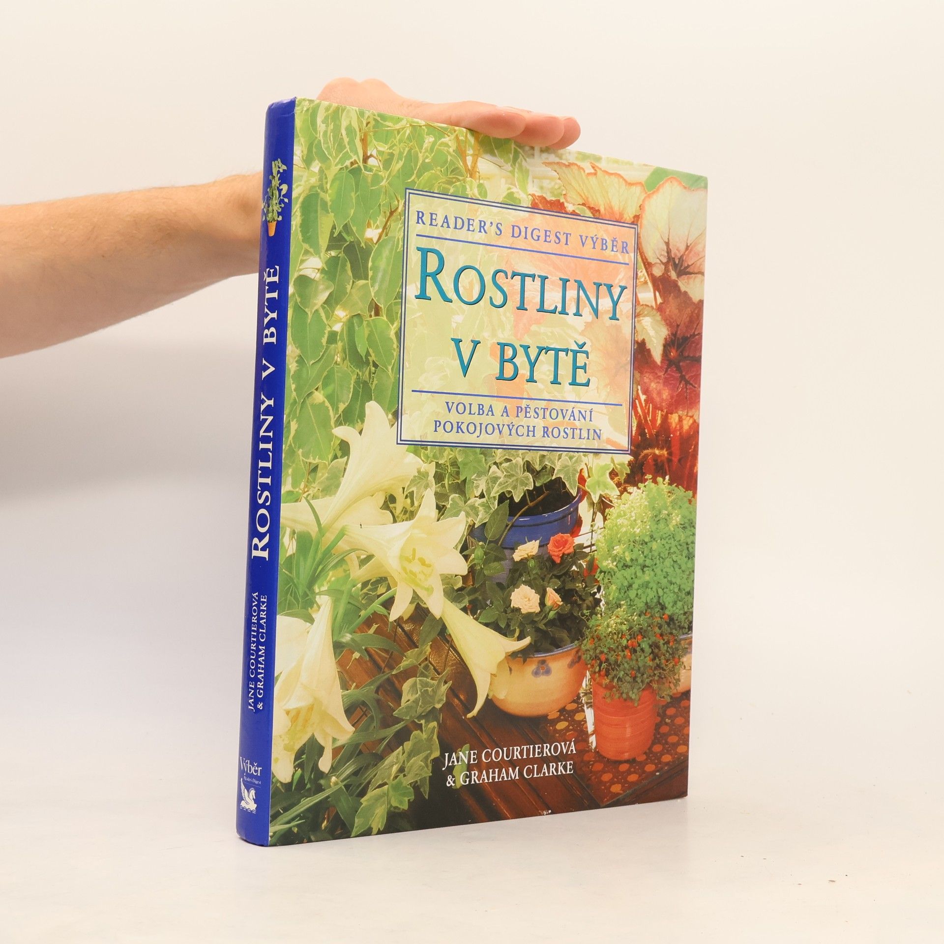Rostliny v bytě