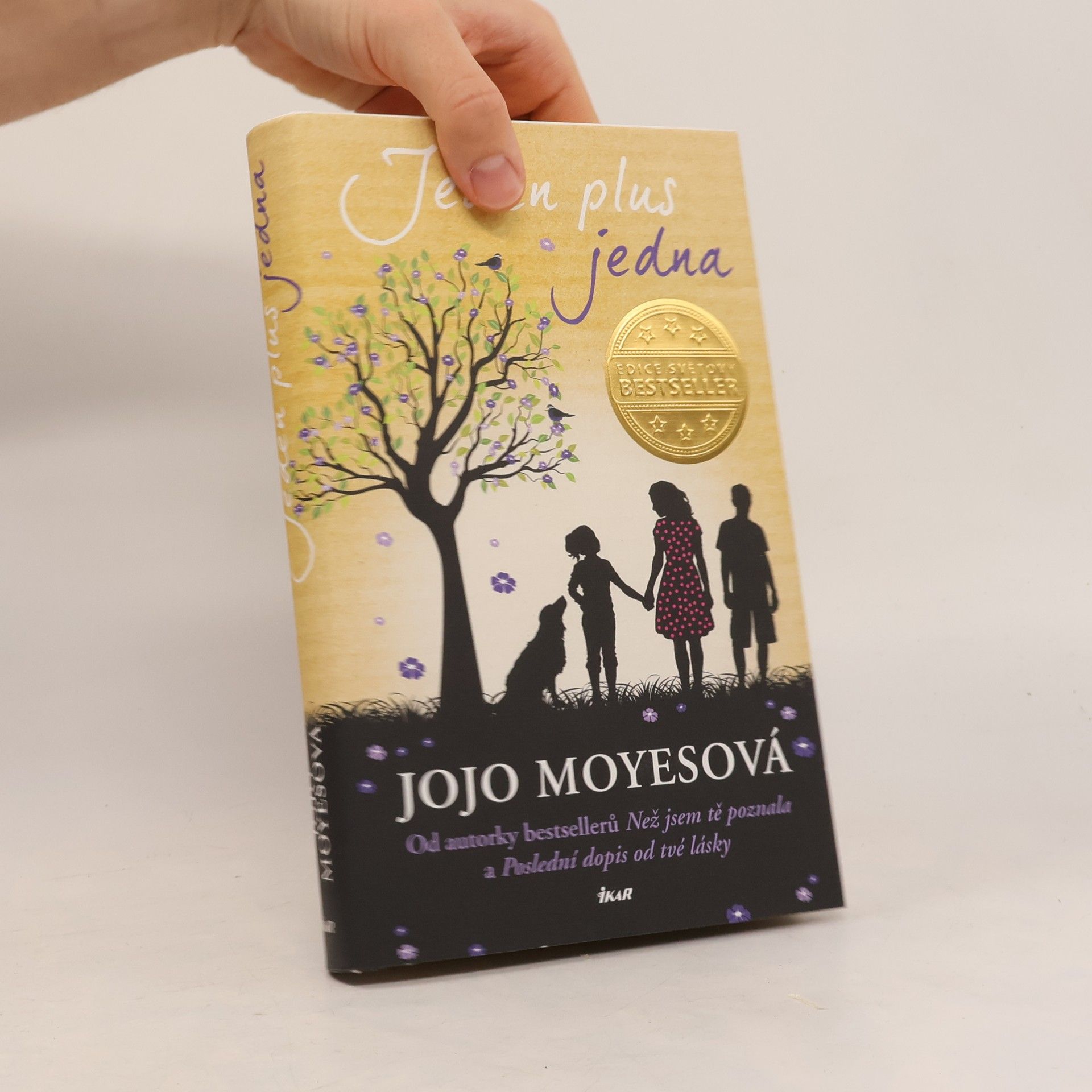 Jojo Moyes Jeden plus jedna