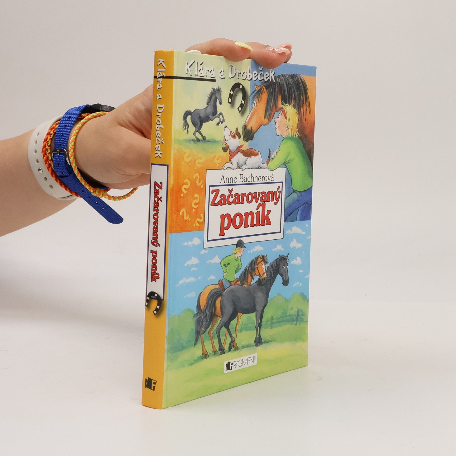 Heike Wiechmann Začarovaný poník