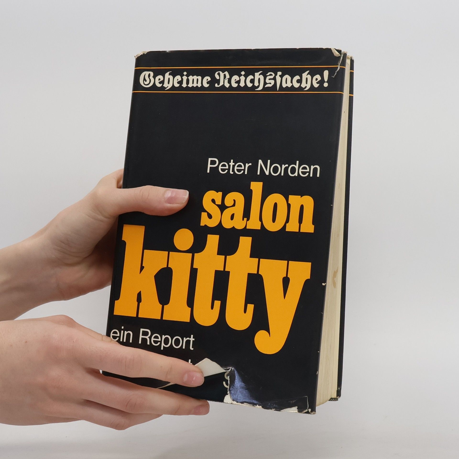 Peter Norden Salon Kitty