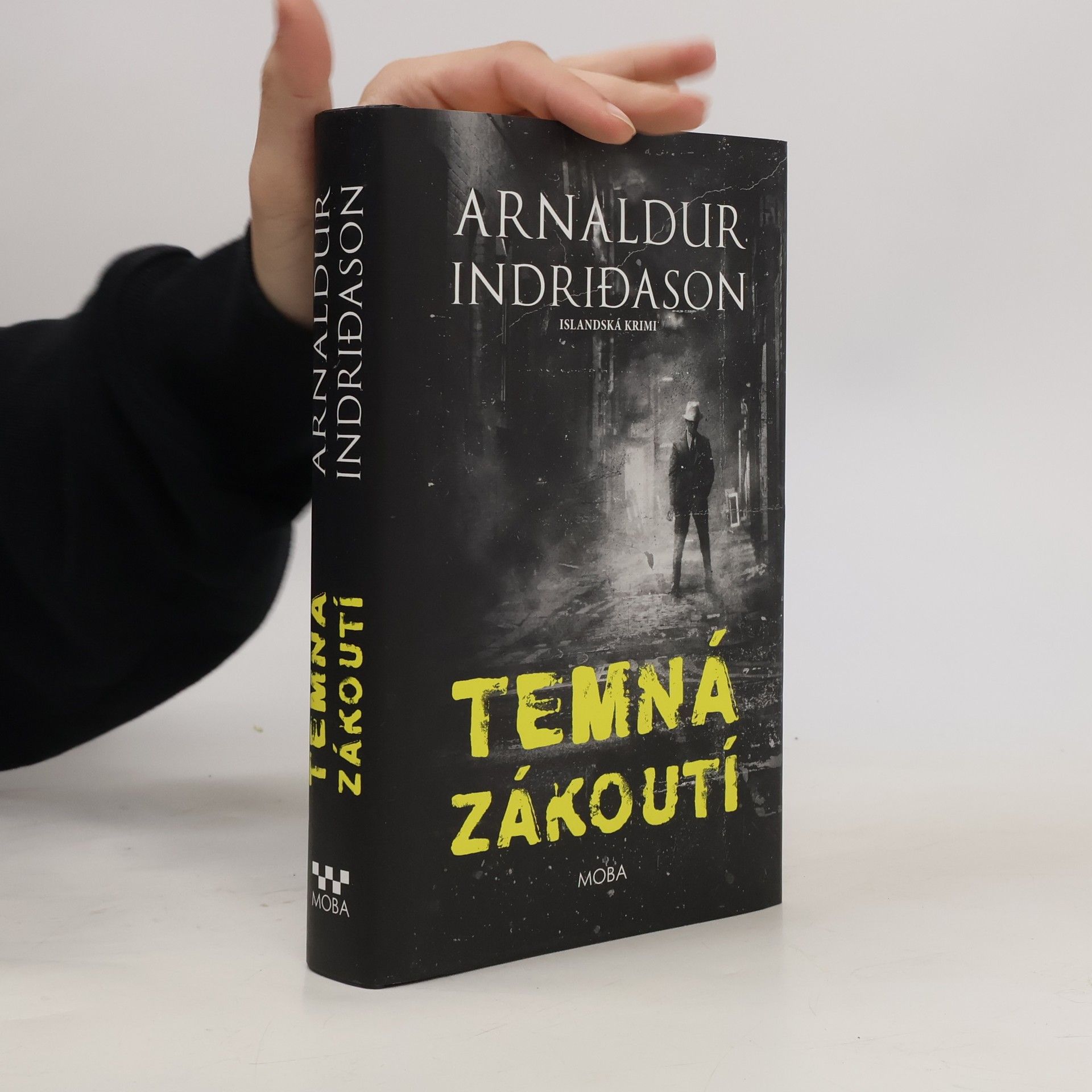 Arnaldur Indridason Temná zákoutí