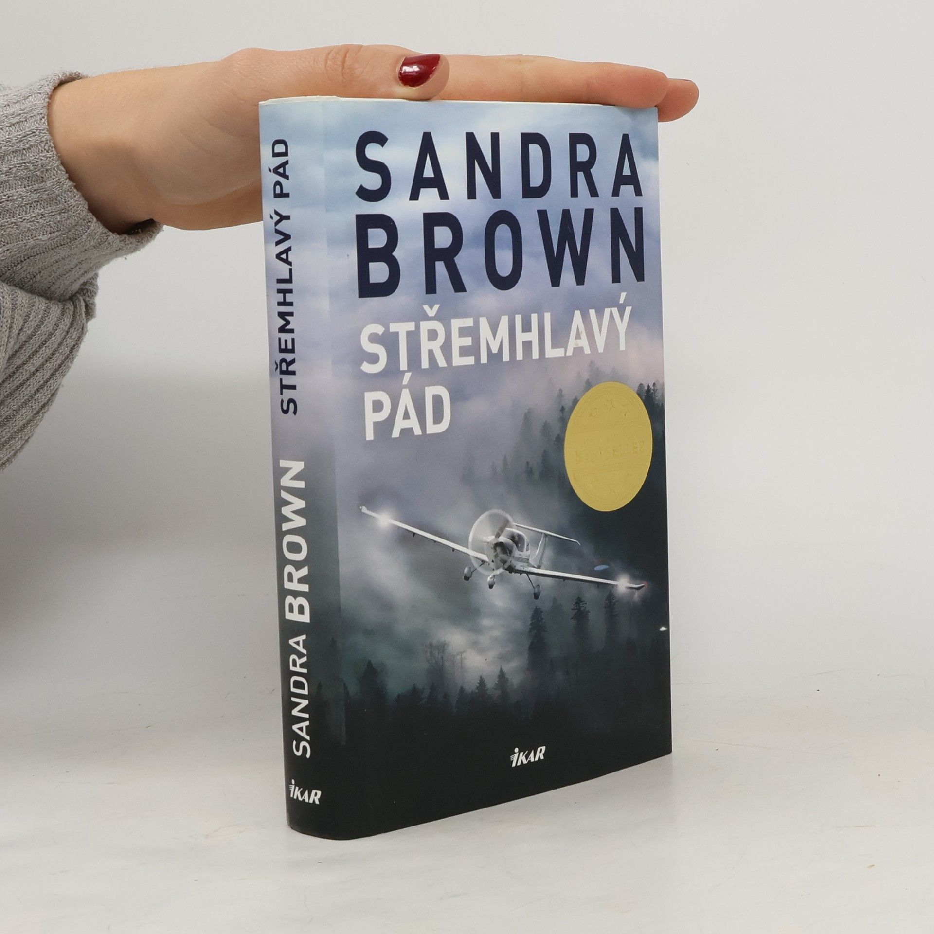 Sandra Brown Střemhlavý pád