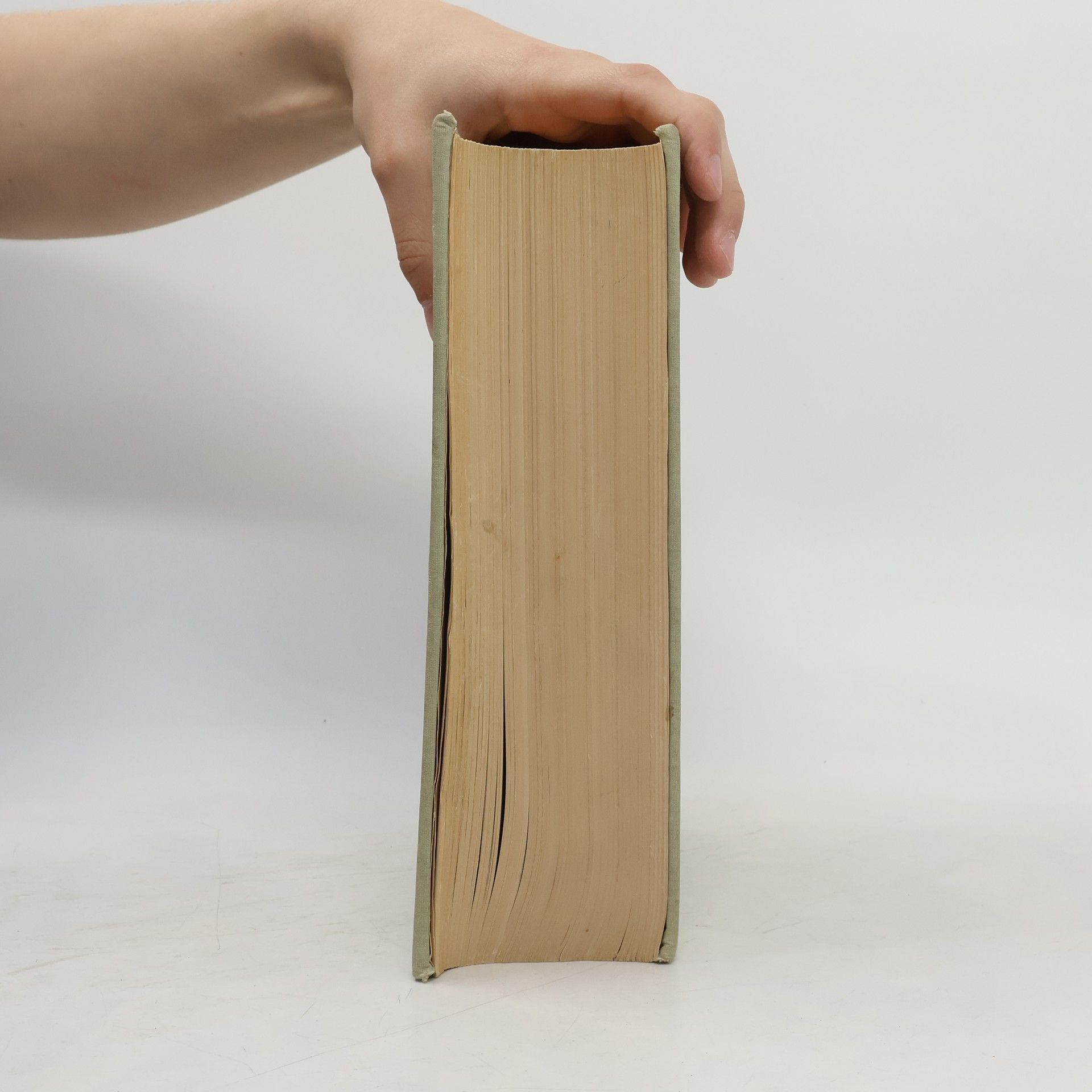 Kolektiv autorů Webster's new collegiate dictionary