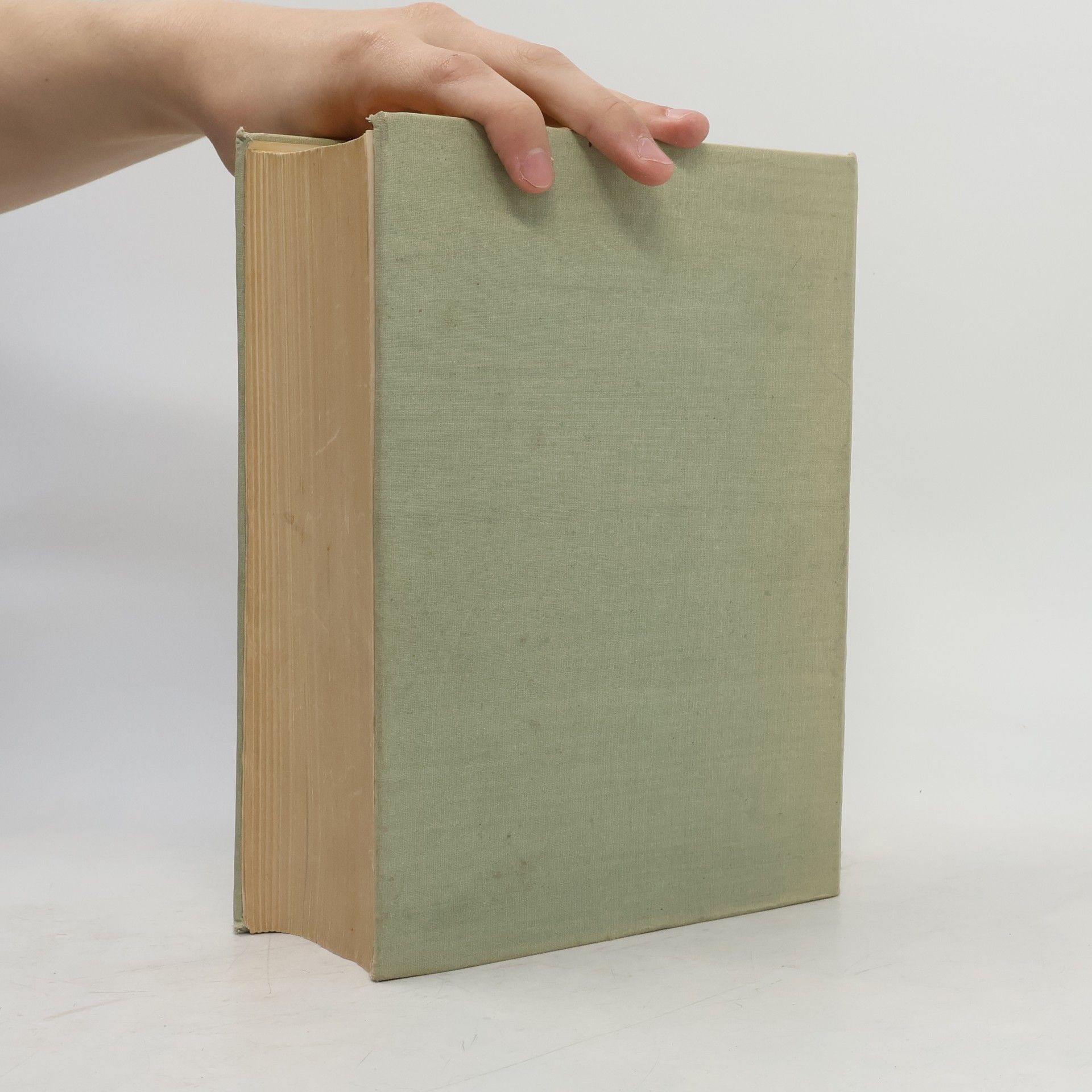 Kolektiv autorů Webster's new collegiate dictionary
