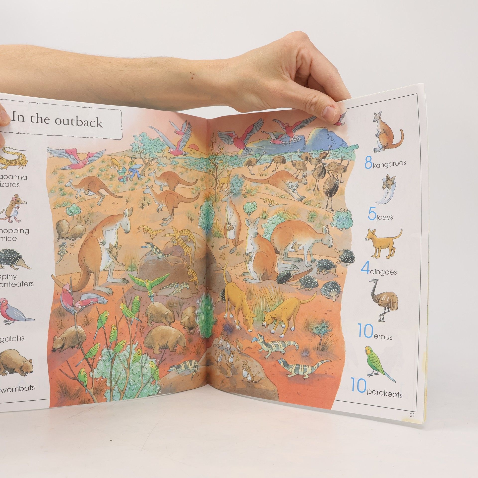 Susannah Owen 1001 Animals to Spot