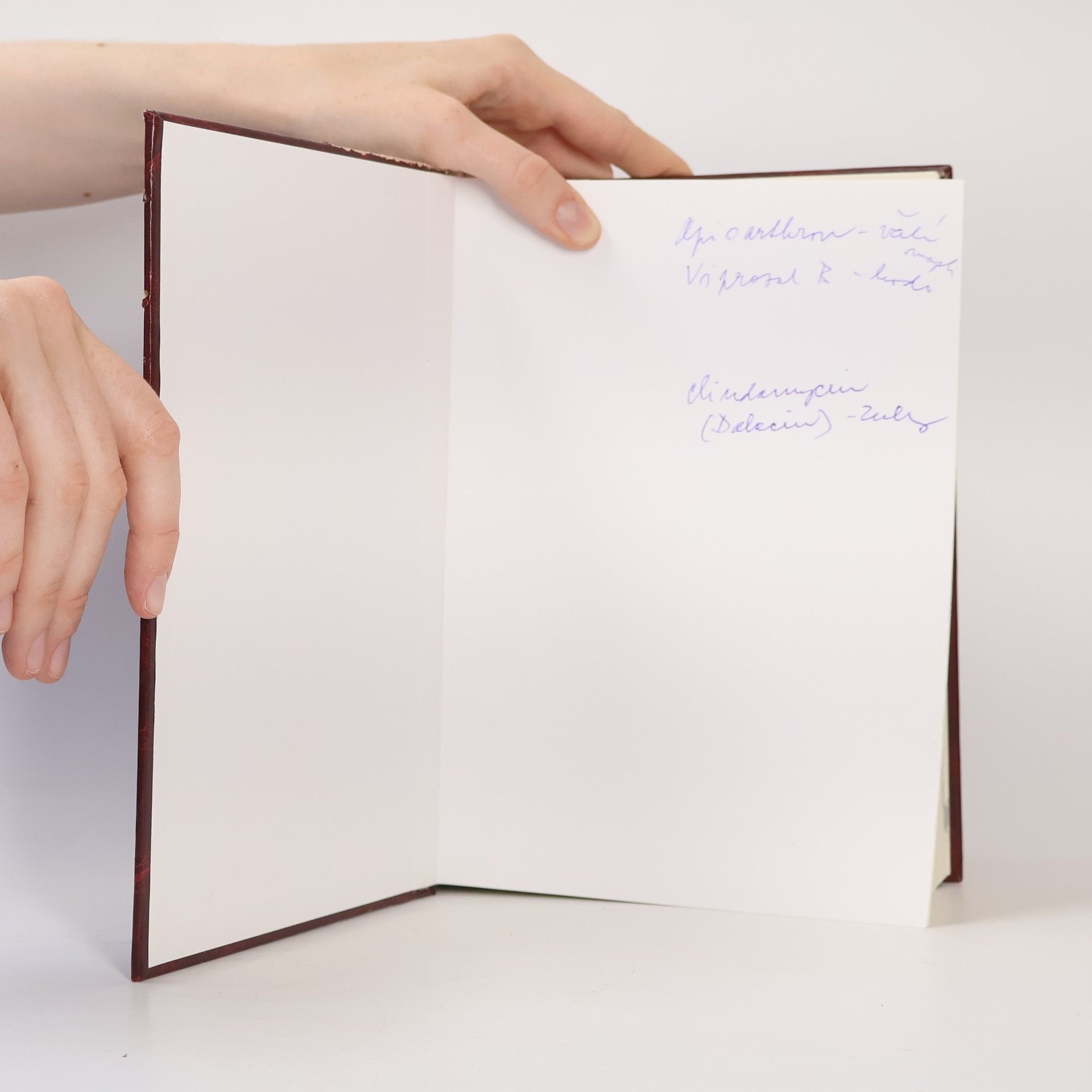 Josef Suchopár Remedia Compendium