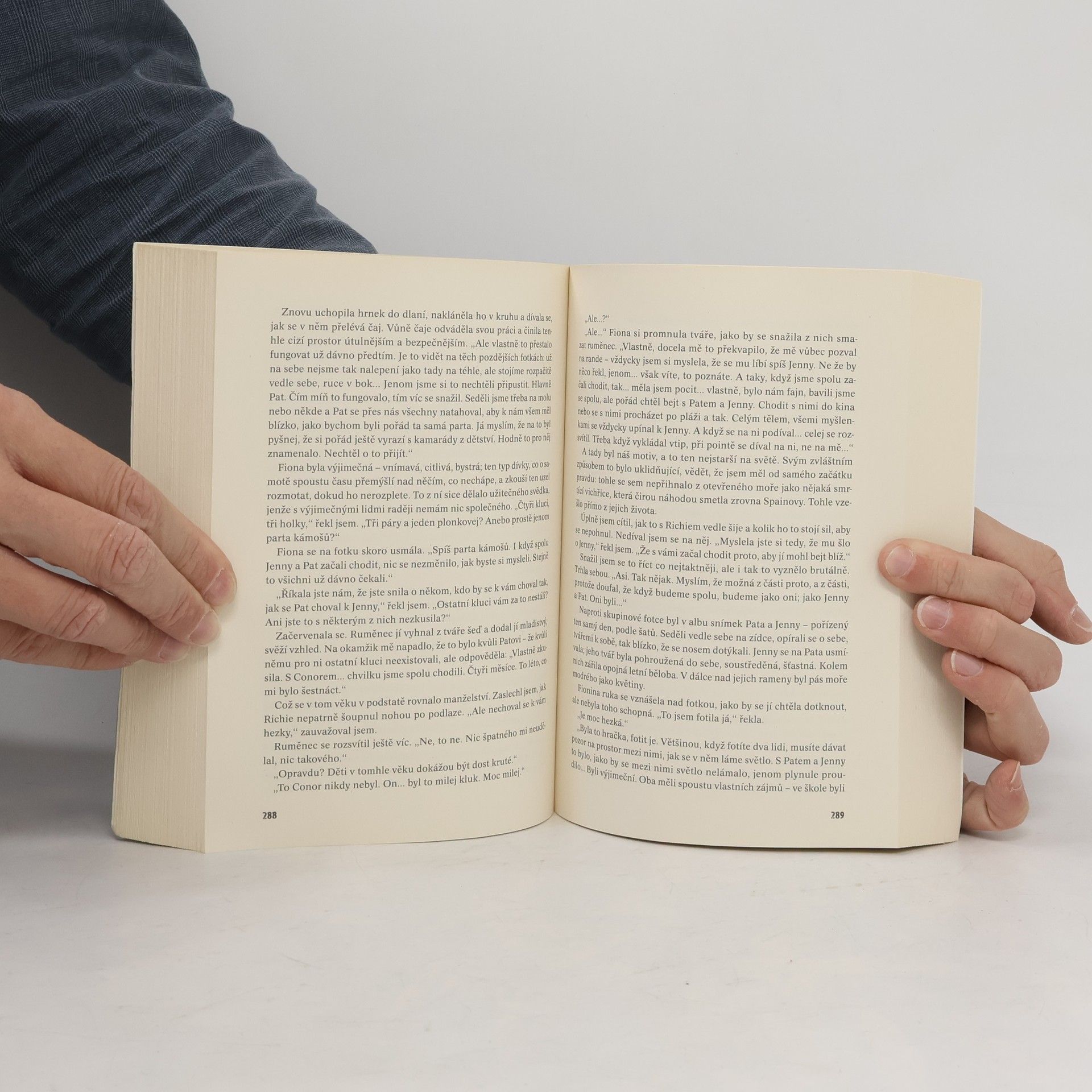 Tana French Ztracený přístav