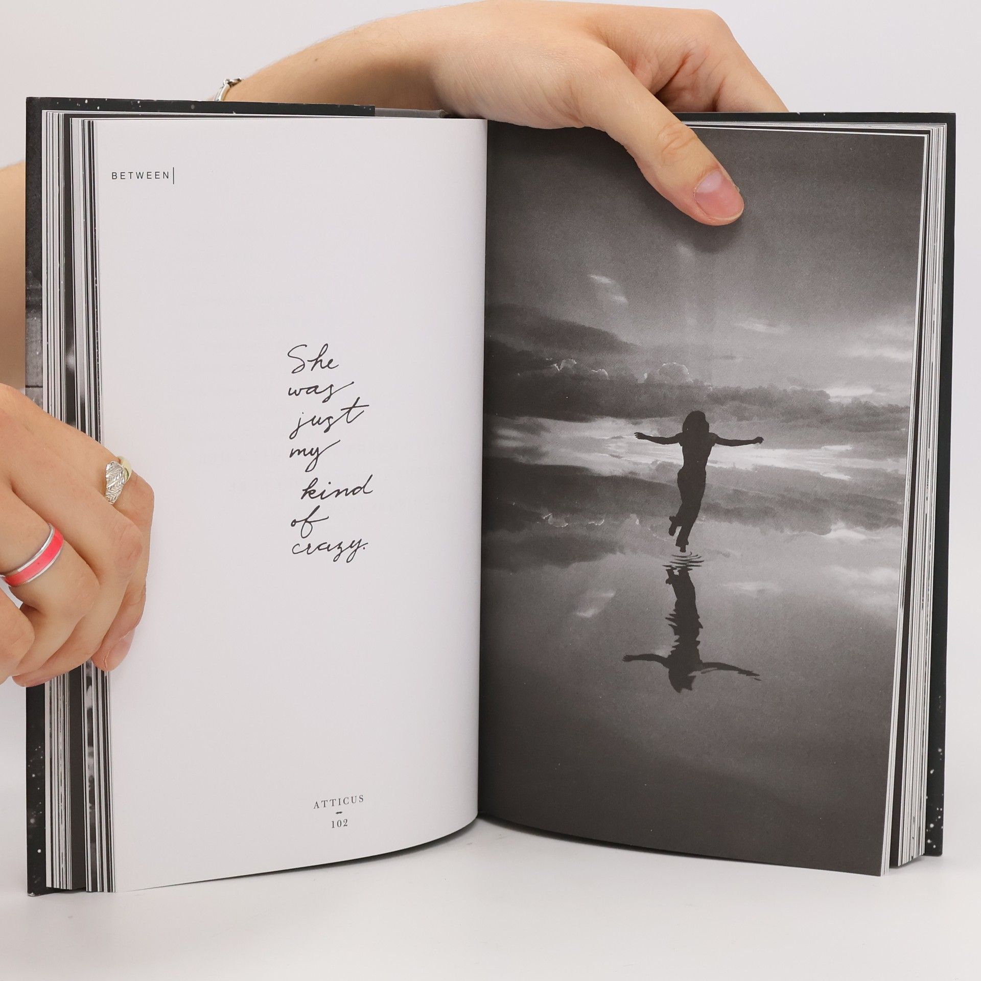 Atticus The dark between stars: Poems