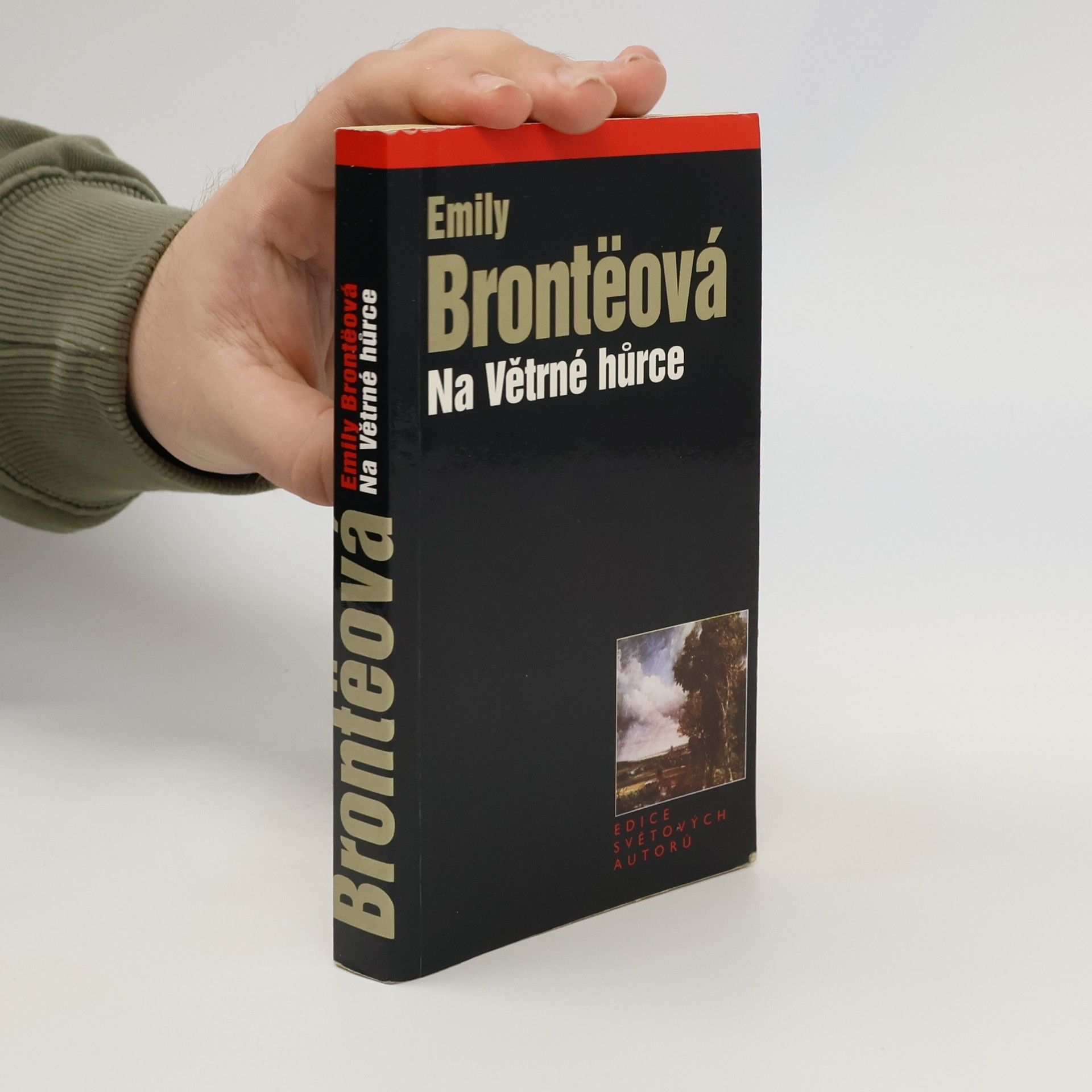 Emily Brontë Na Větrné hůrce