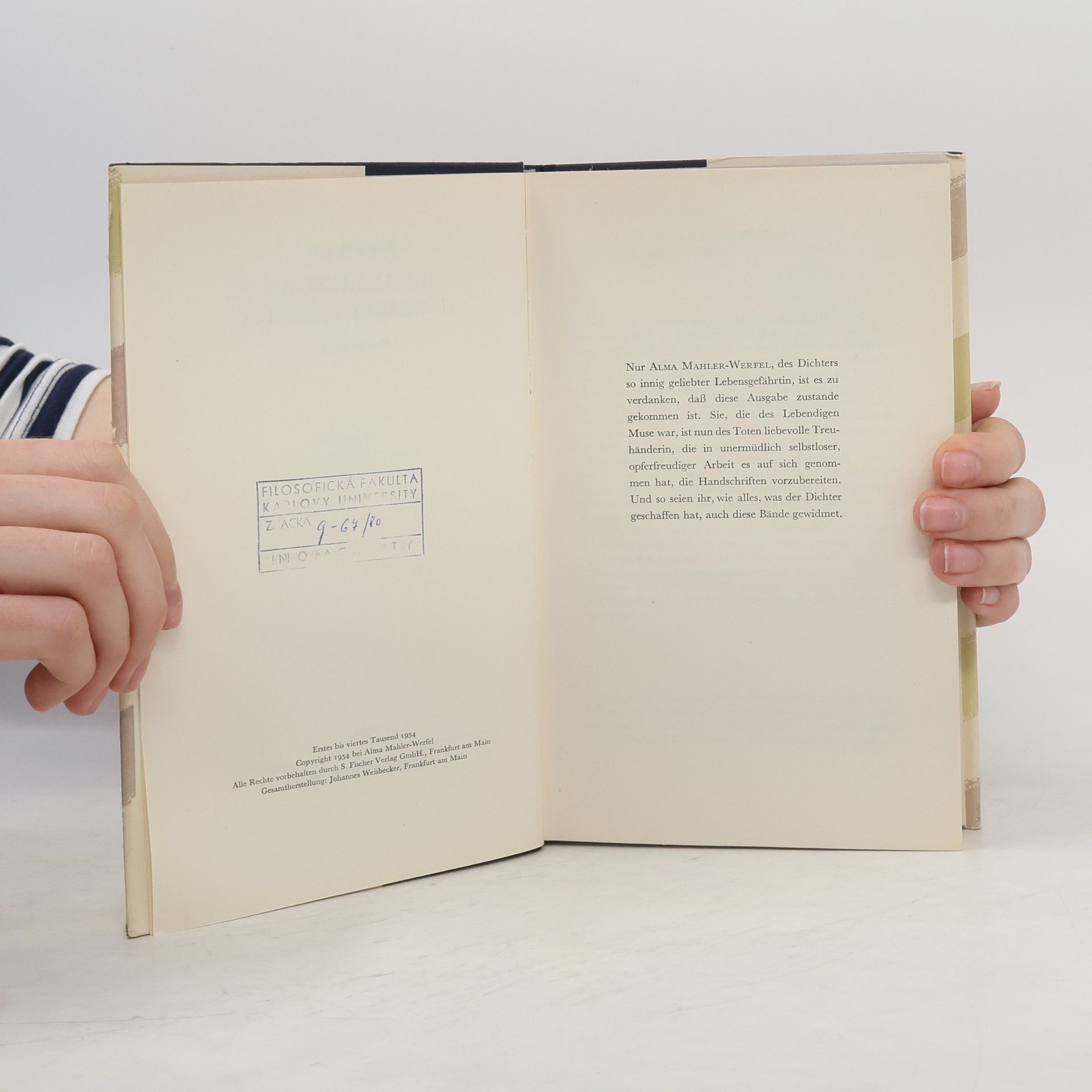 Franz Werfel Erzählungen aus zwei Welten 3