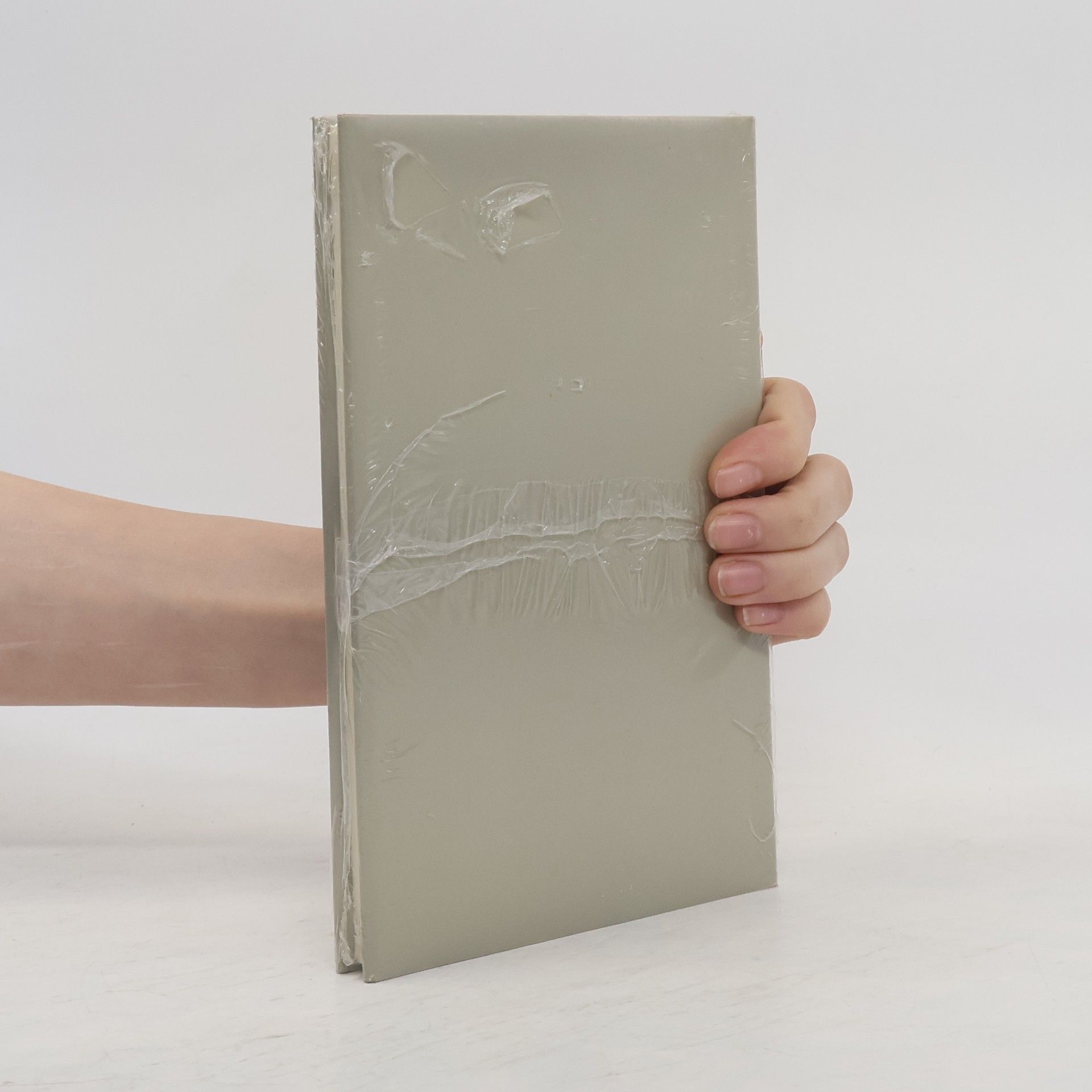 Peter Handke Nachmittag eines Schriftstellers