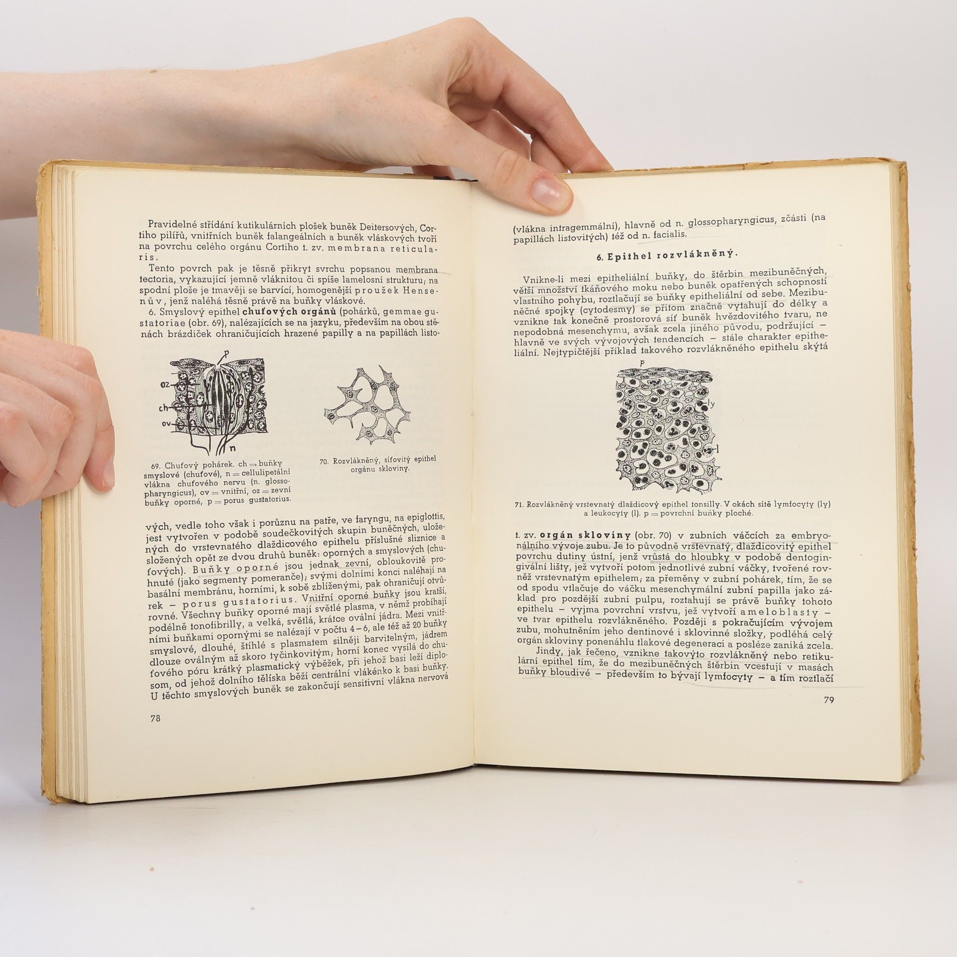 Zdeněk Frankenberger Stručná učebnice histologie