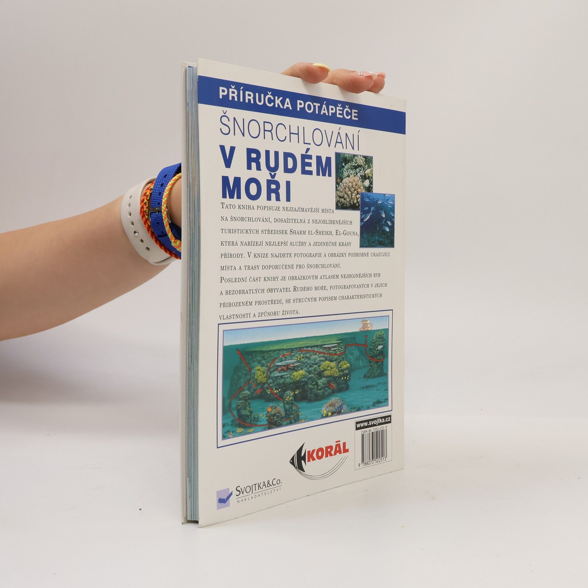 Claudio Cangini Šnorchlování v Rudém moři