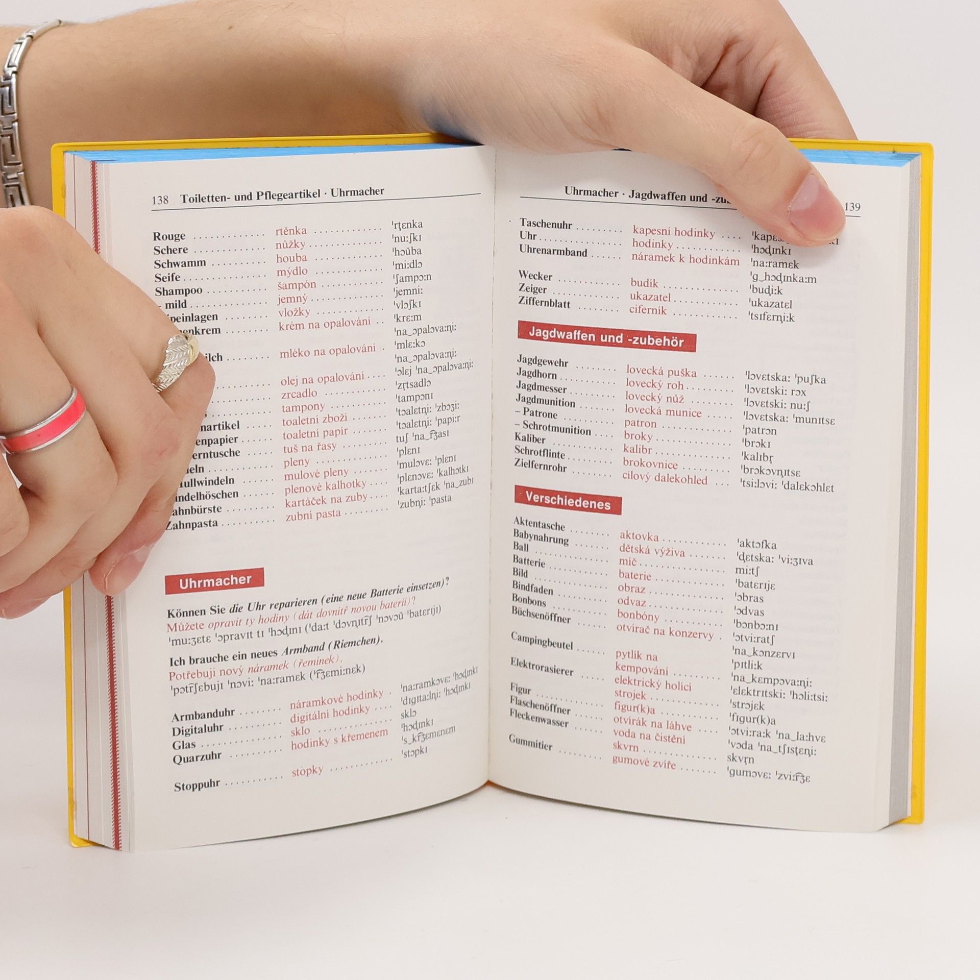 Kolektiv autorů Langenscheidts Sprachführer Tschechisch mit Reisewörterbuch Deutsch-Tschechisch