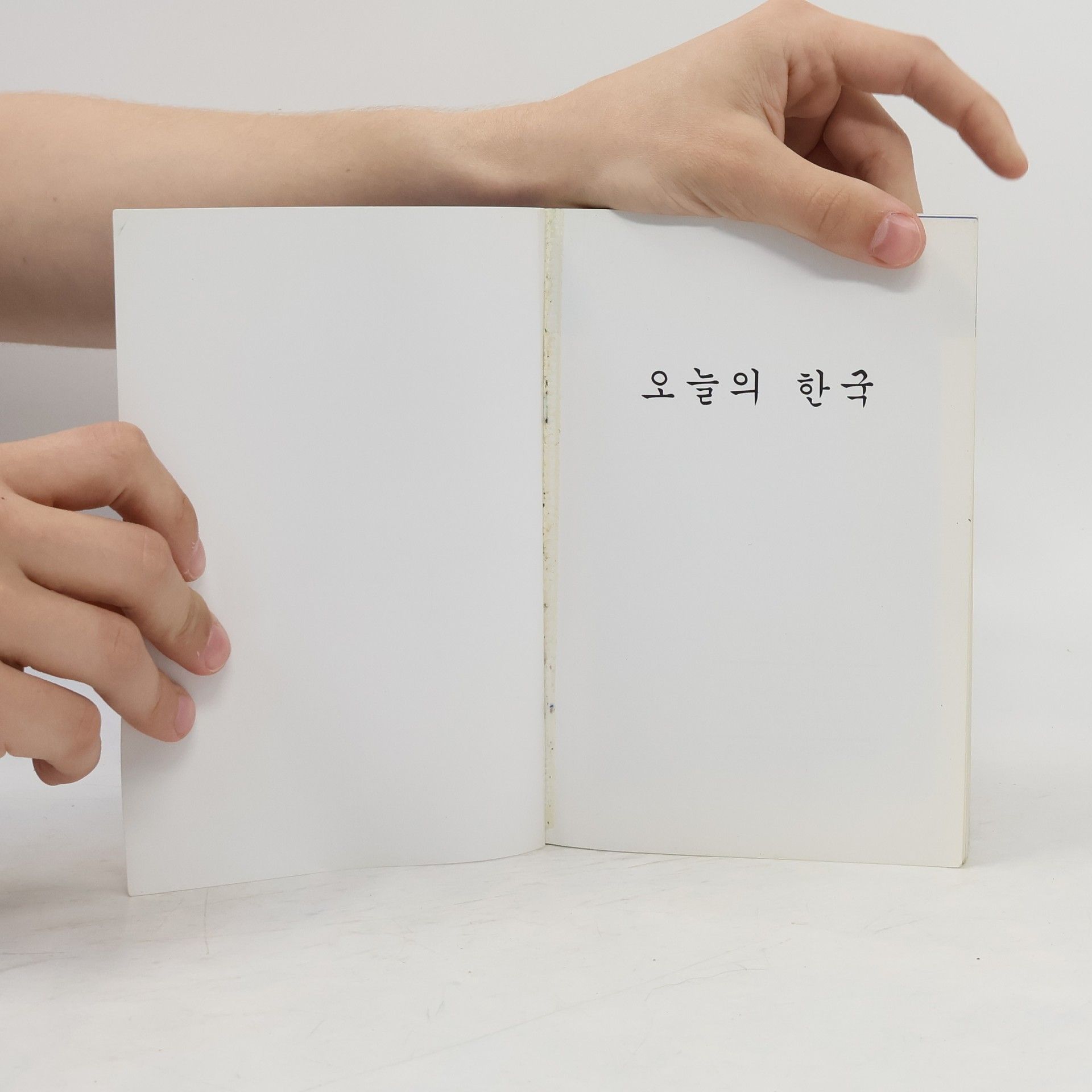 Autorenkollektiv 오늘의 한국