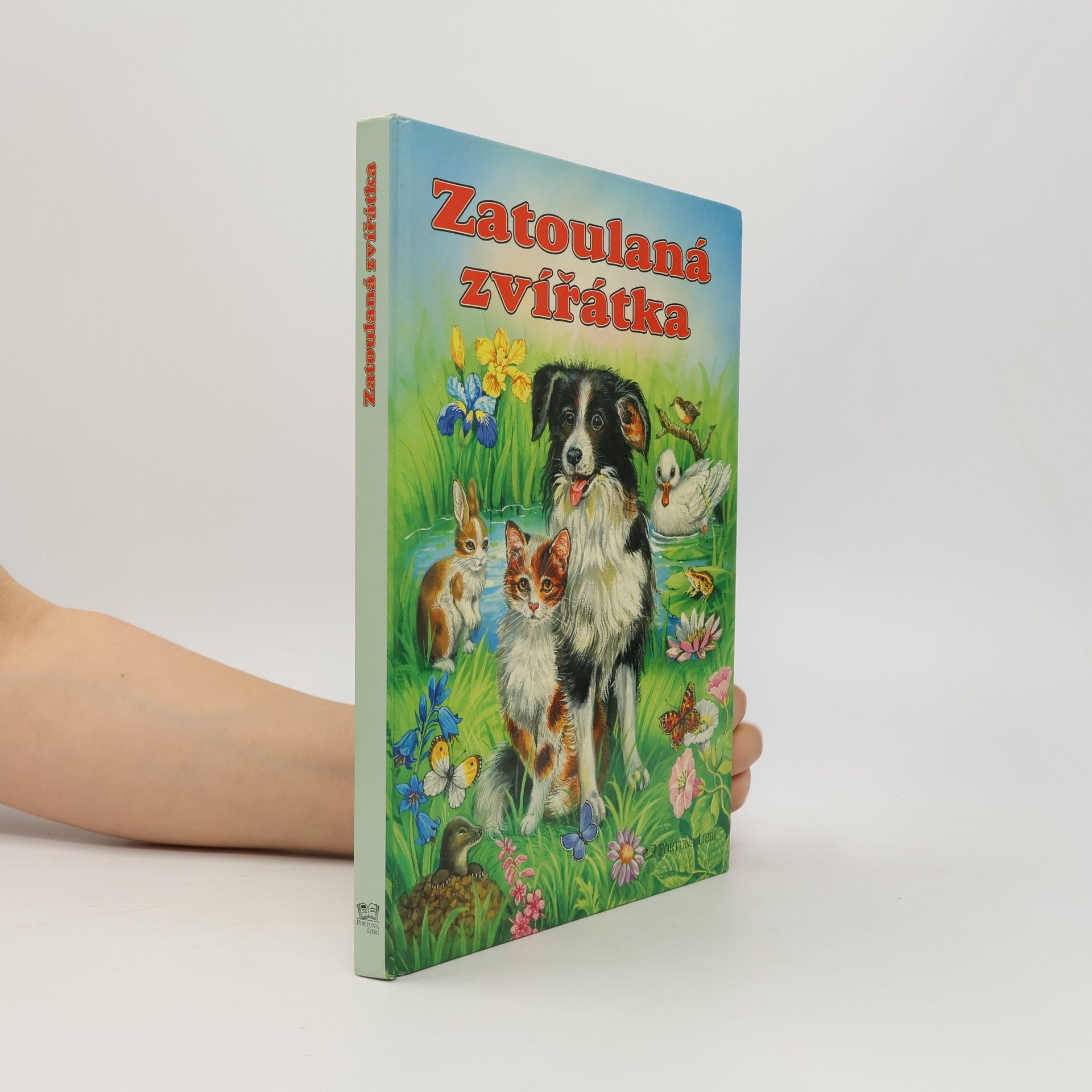 Katja Epes Zatoulaná zvířátka