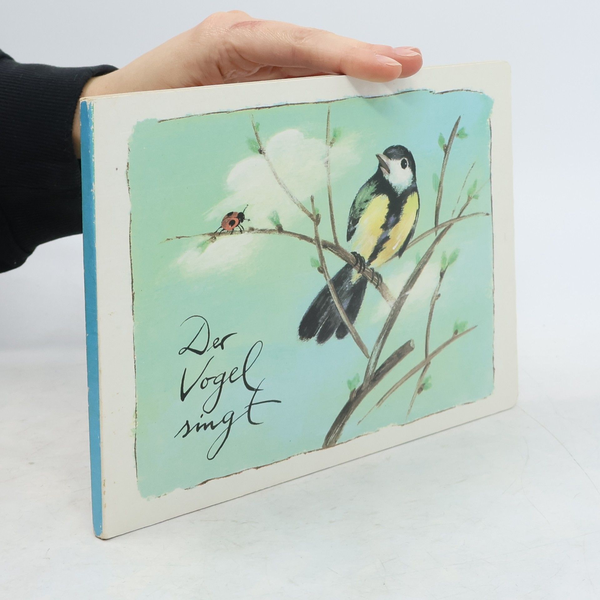 Autorenkollektiv Der Vogel singt