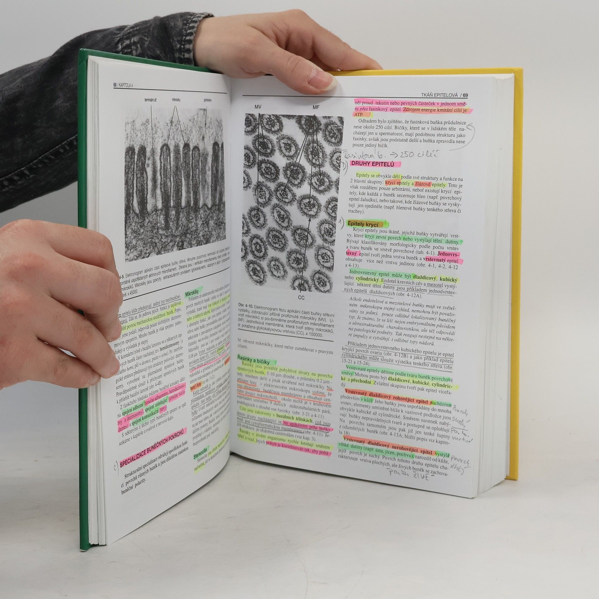 Richard Jelínek Základy histologie