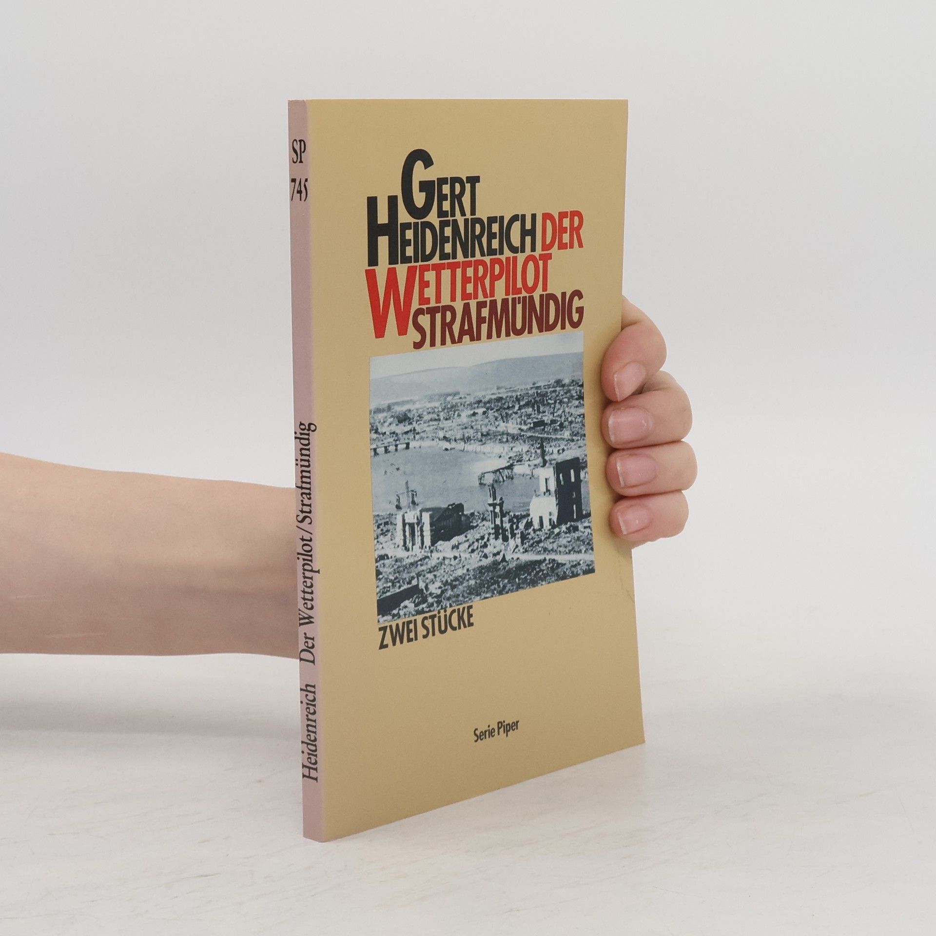 Serie Piper: Der Wetterpilot. Strafmündig. Zwei Theaterstücke.