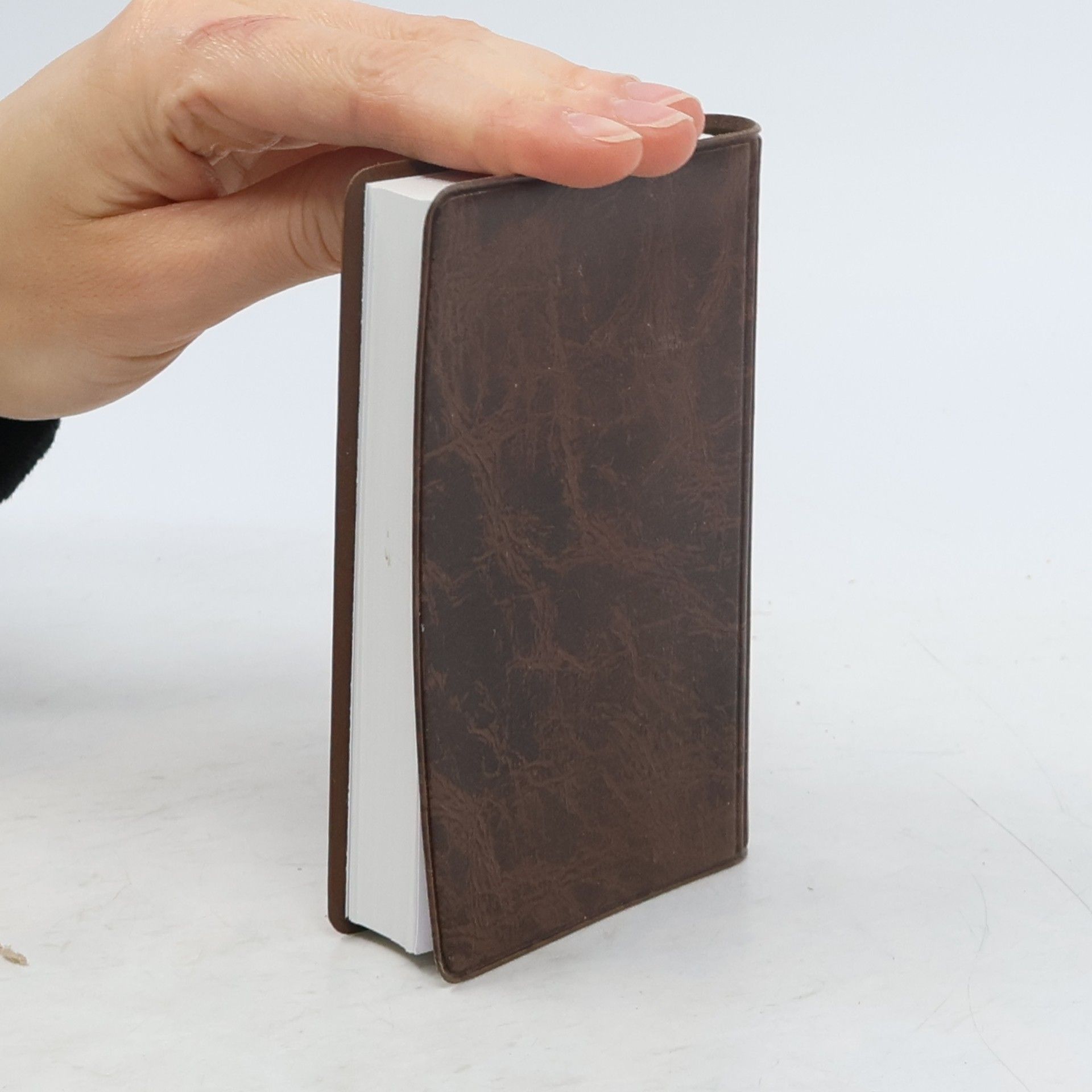Autorenkollektiv Bibel Neues Testament mit Psalmen Sprüchen