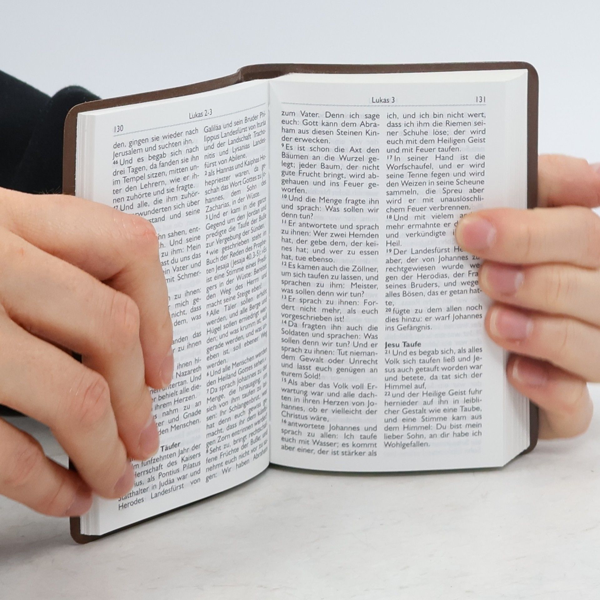 Autorenkollektiv Bibel Neues Testament mit Psalmen Sprüchen