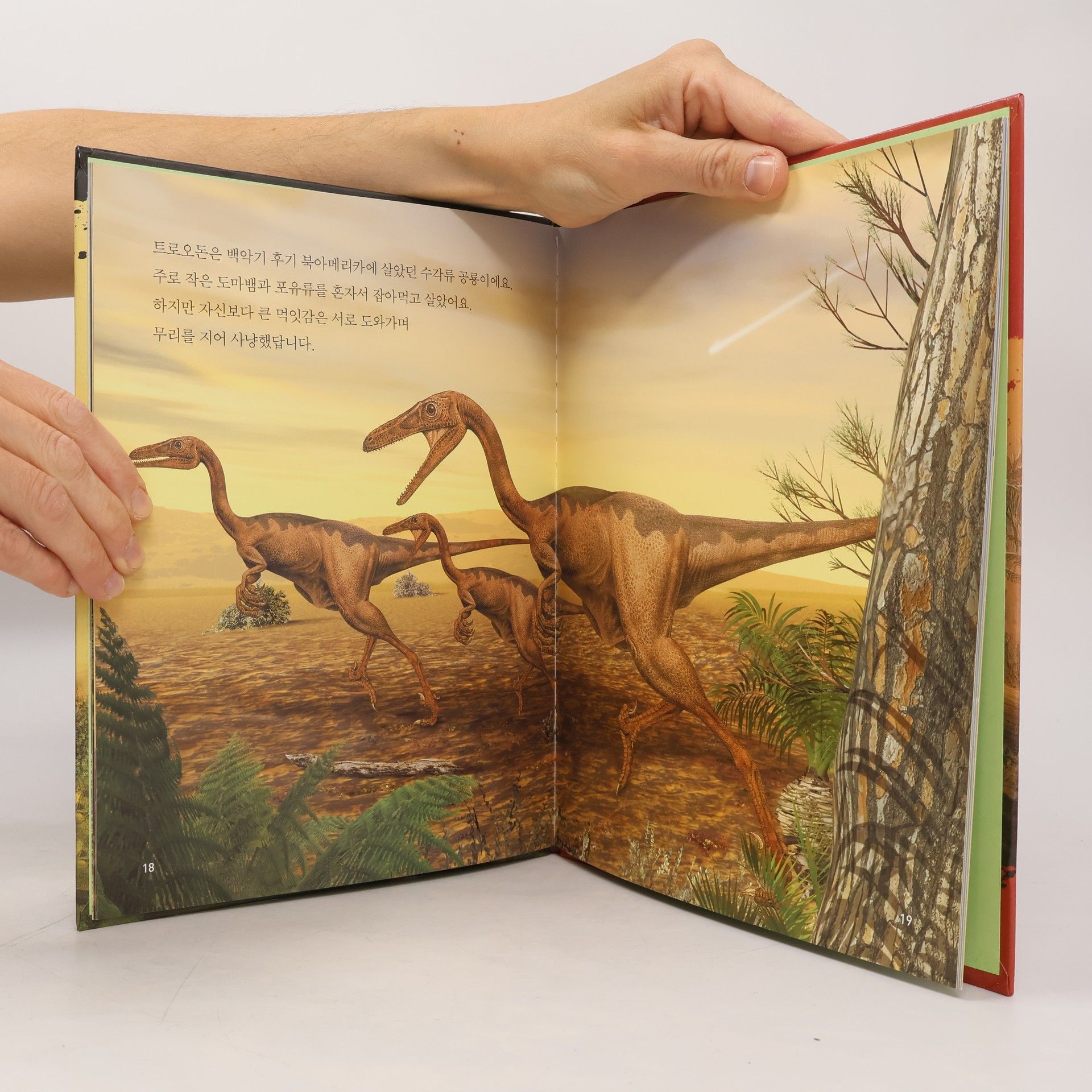 Paul Barrett Dinosaurs