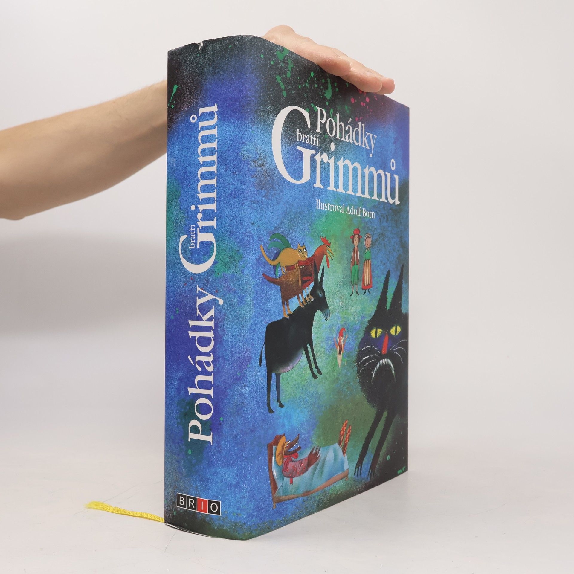 Jacob Ludwig Karl Grimm Pohádky bratří Grimmů