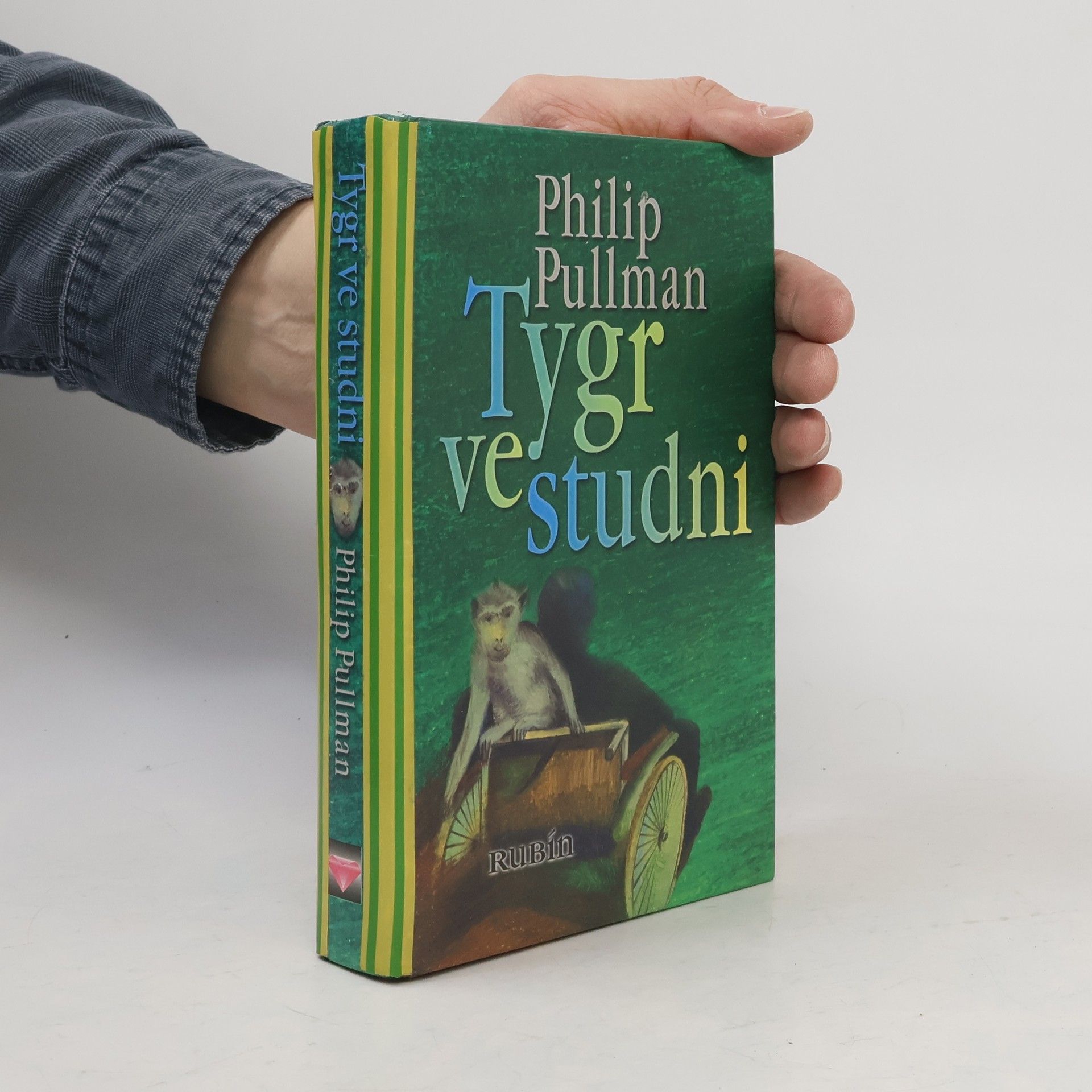 Philip Pullman Tygr ve studni