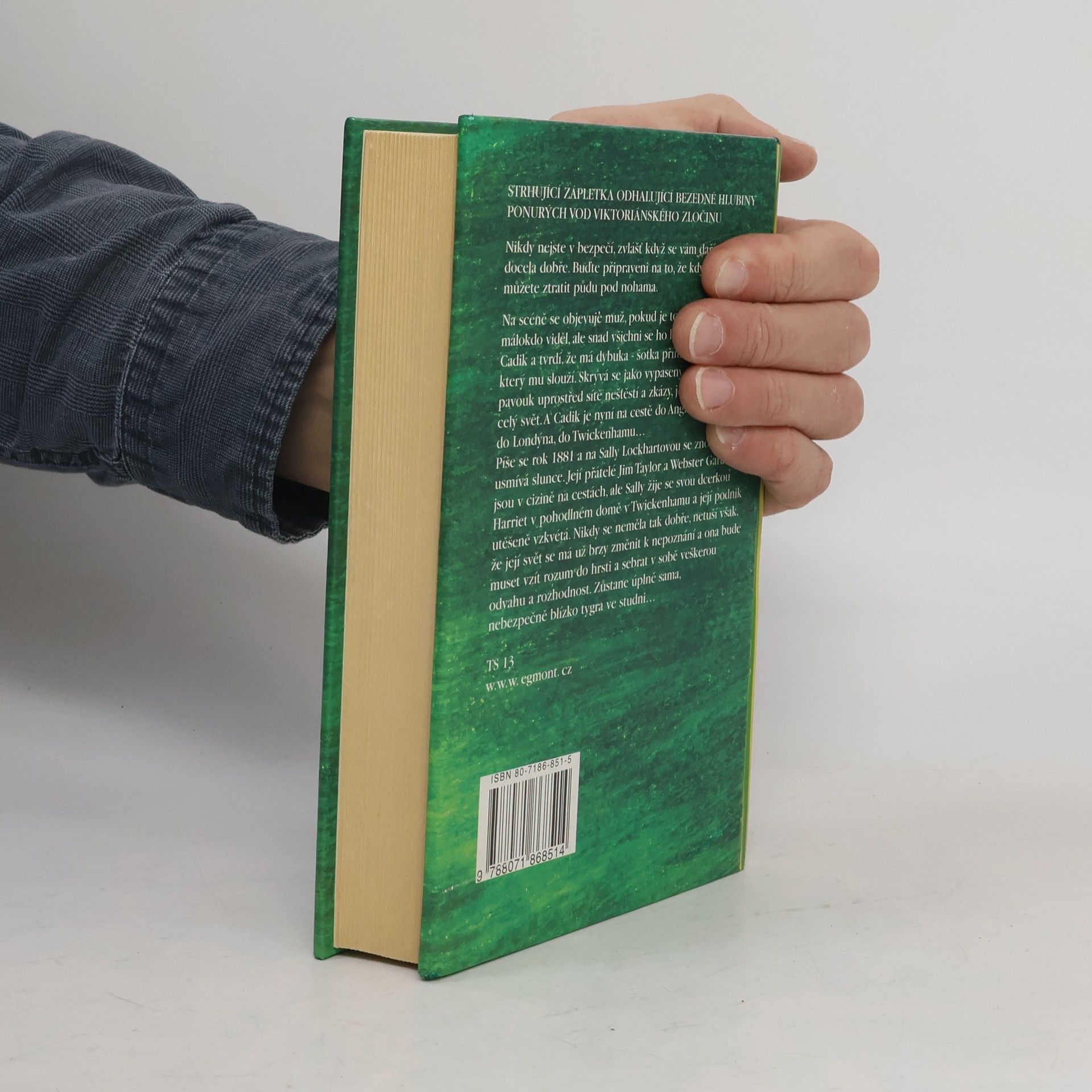 Philip Pullman Tygr ve studni