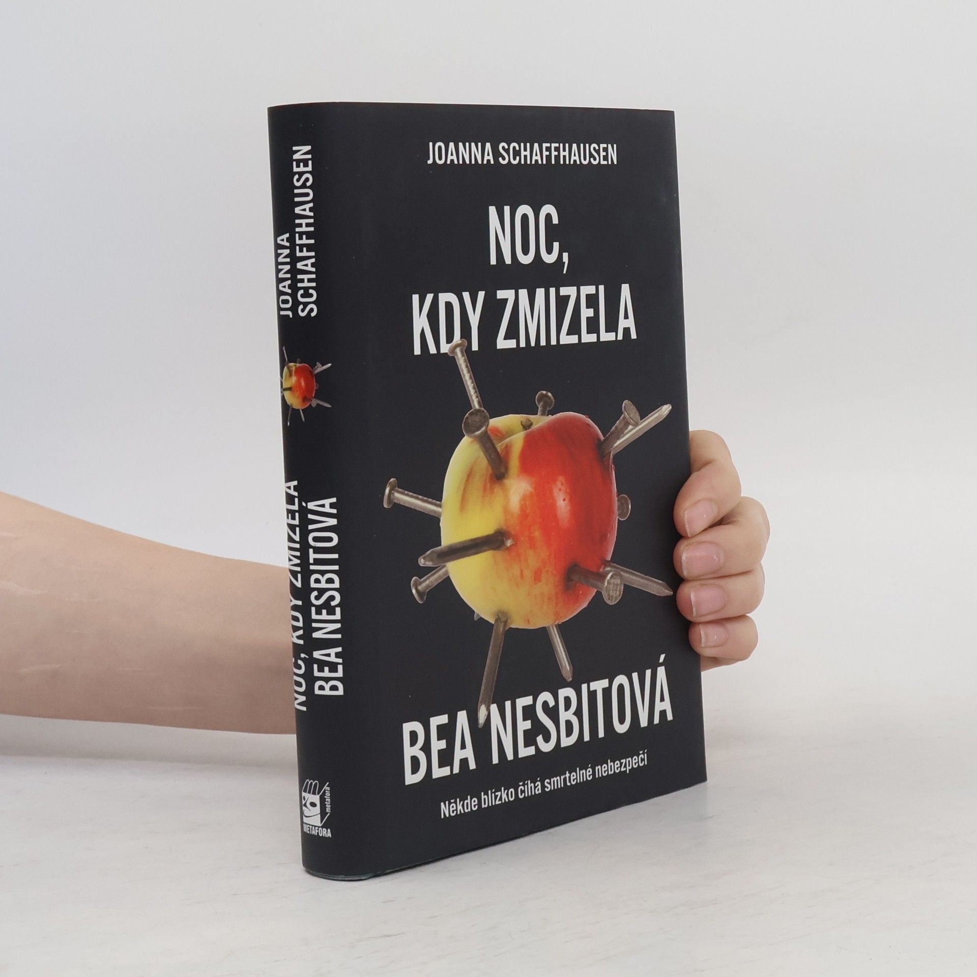 Joanna Schaffhausen Noc, kdy zmizela Bea Nesbitová