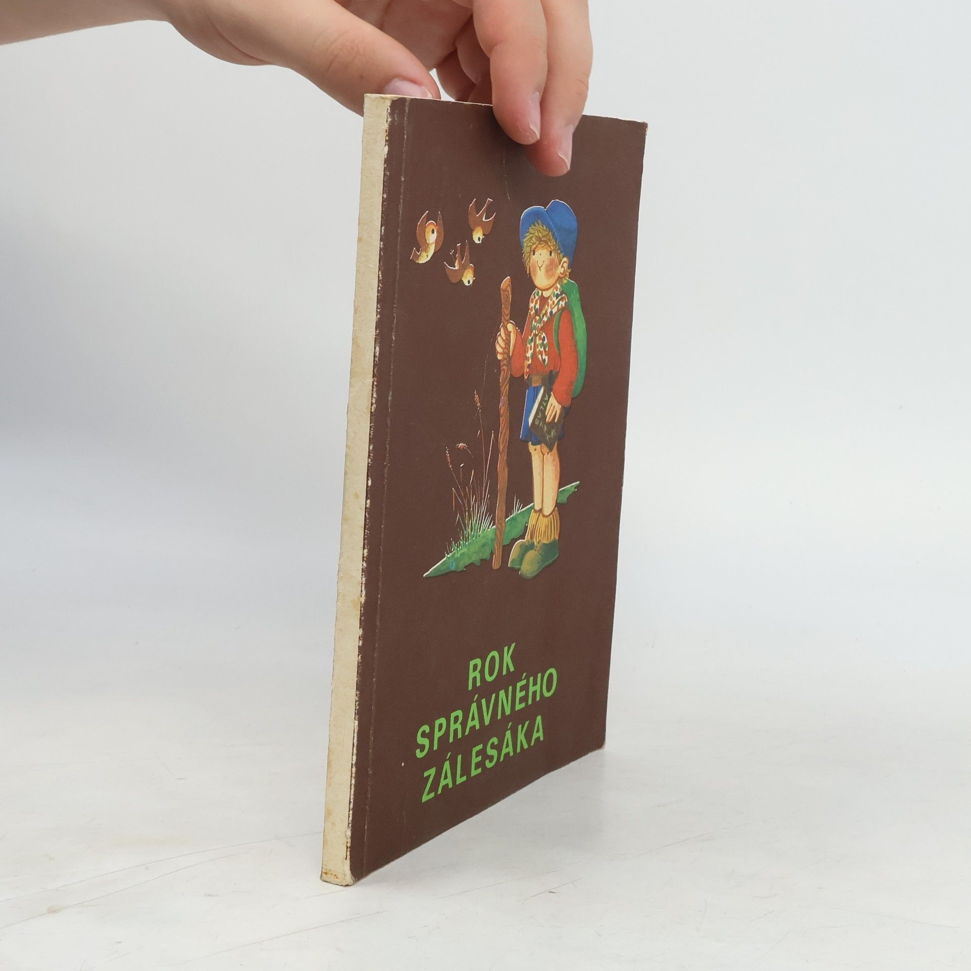 Autores varios Rok správného zálesáka