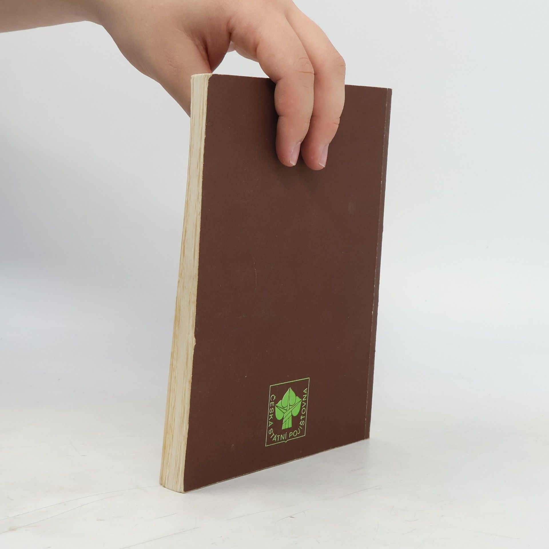 Autores varios Rok správného zálesáka