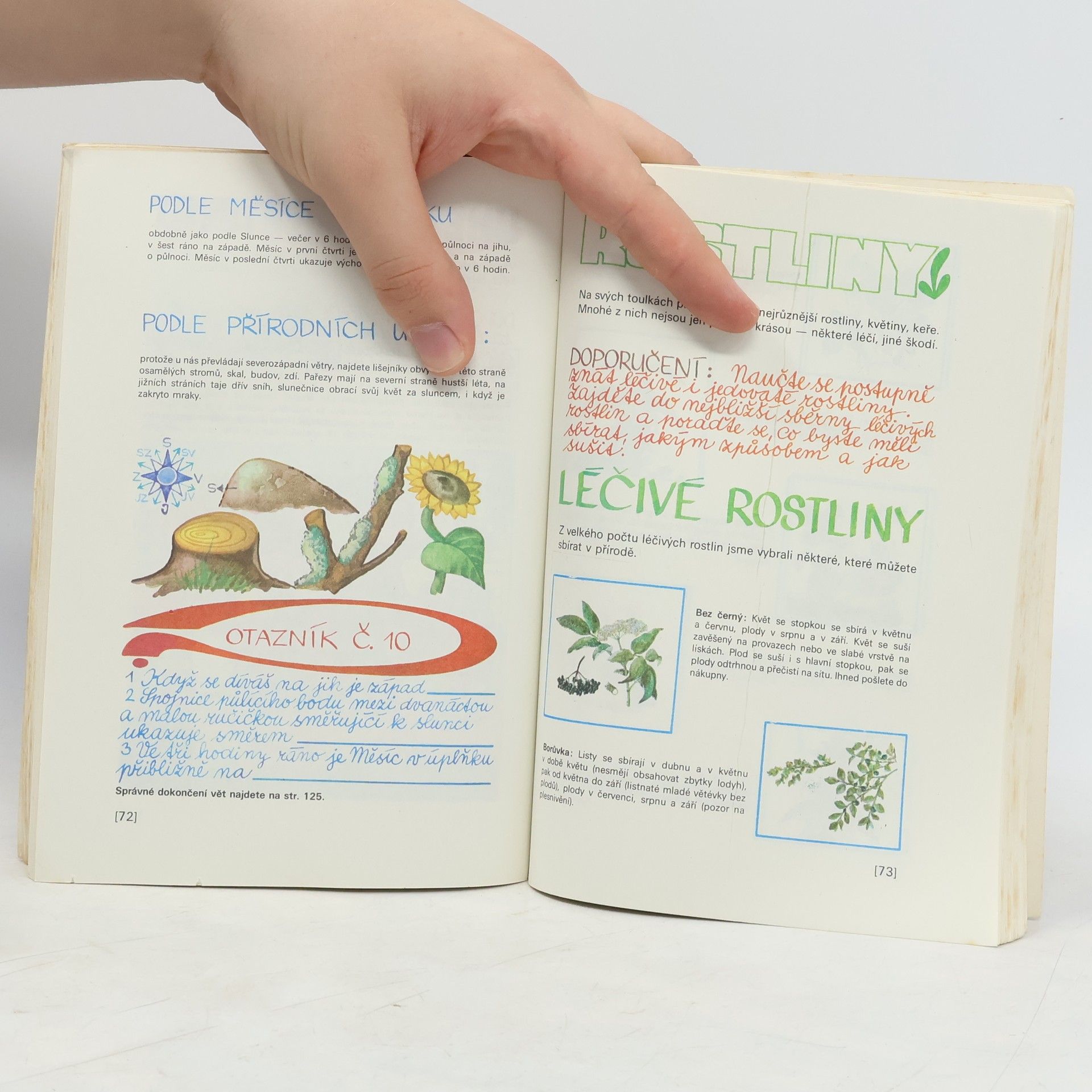 Autores varios Rok správného zálesáka