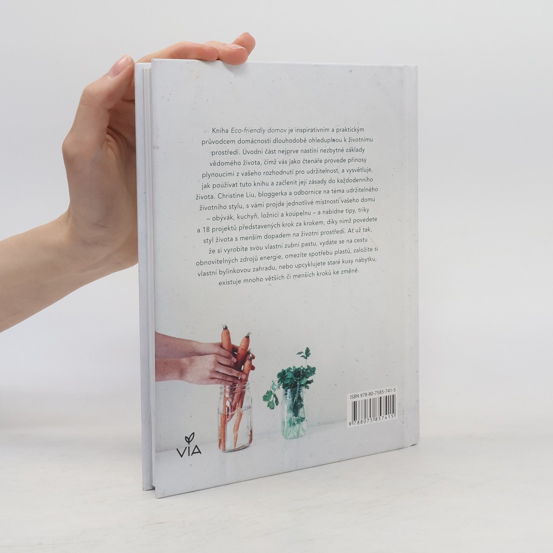 Christine Liu Eco-friendly domov: Praktické projekty, rady a tipy pro ekologicky šetrnější domácnost