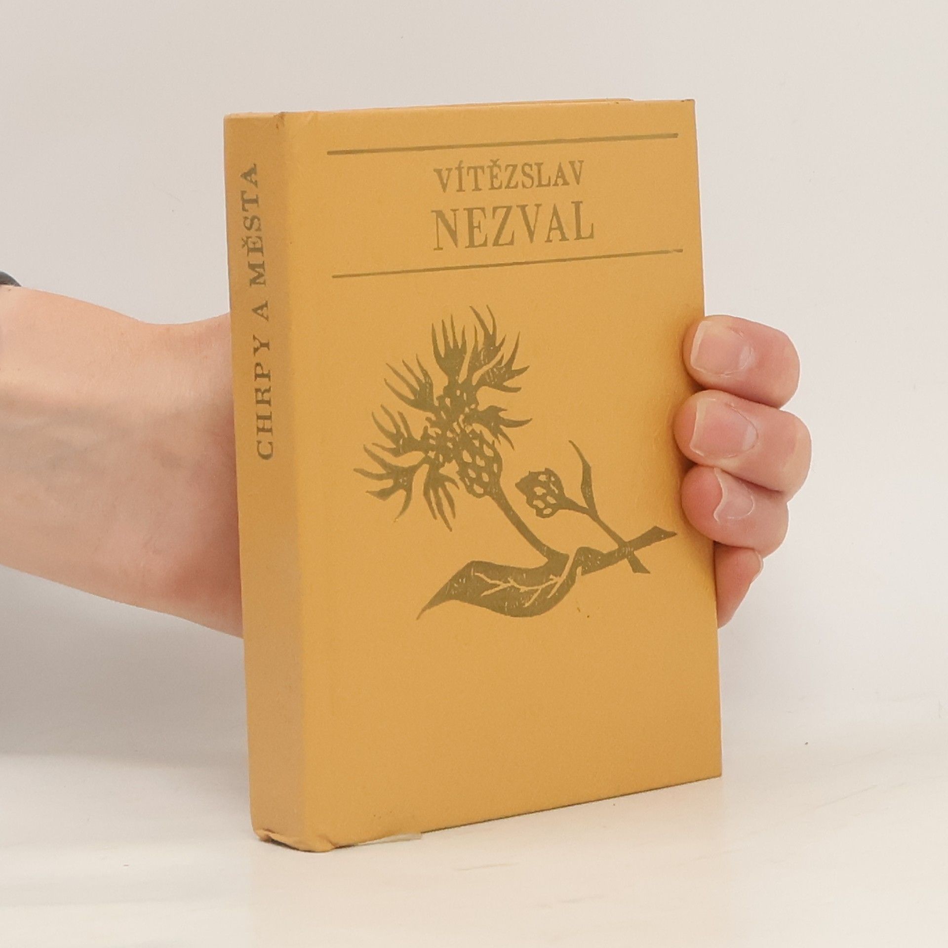 Vítězslav Nezval Chrpy a města