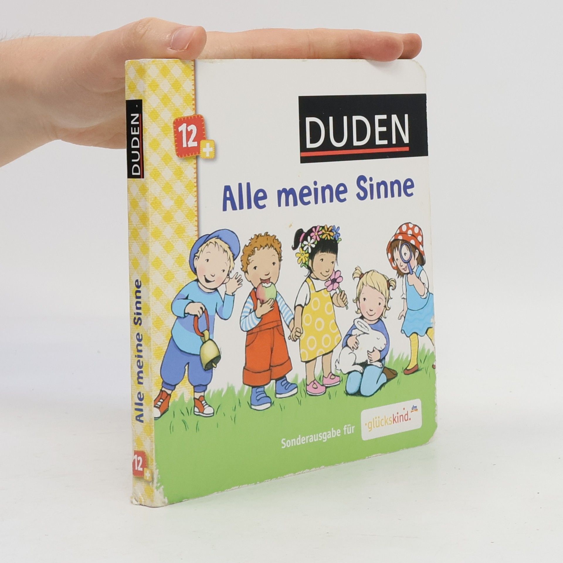 Autorenkollektiv Alle meine Sinne