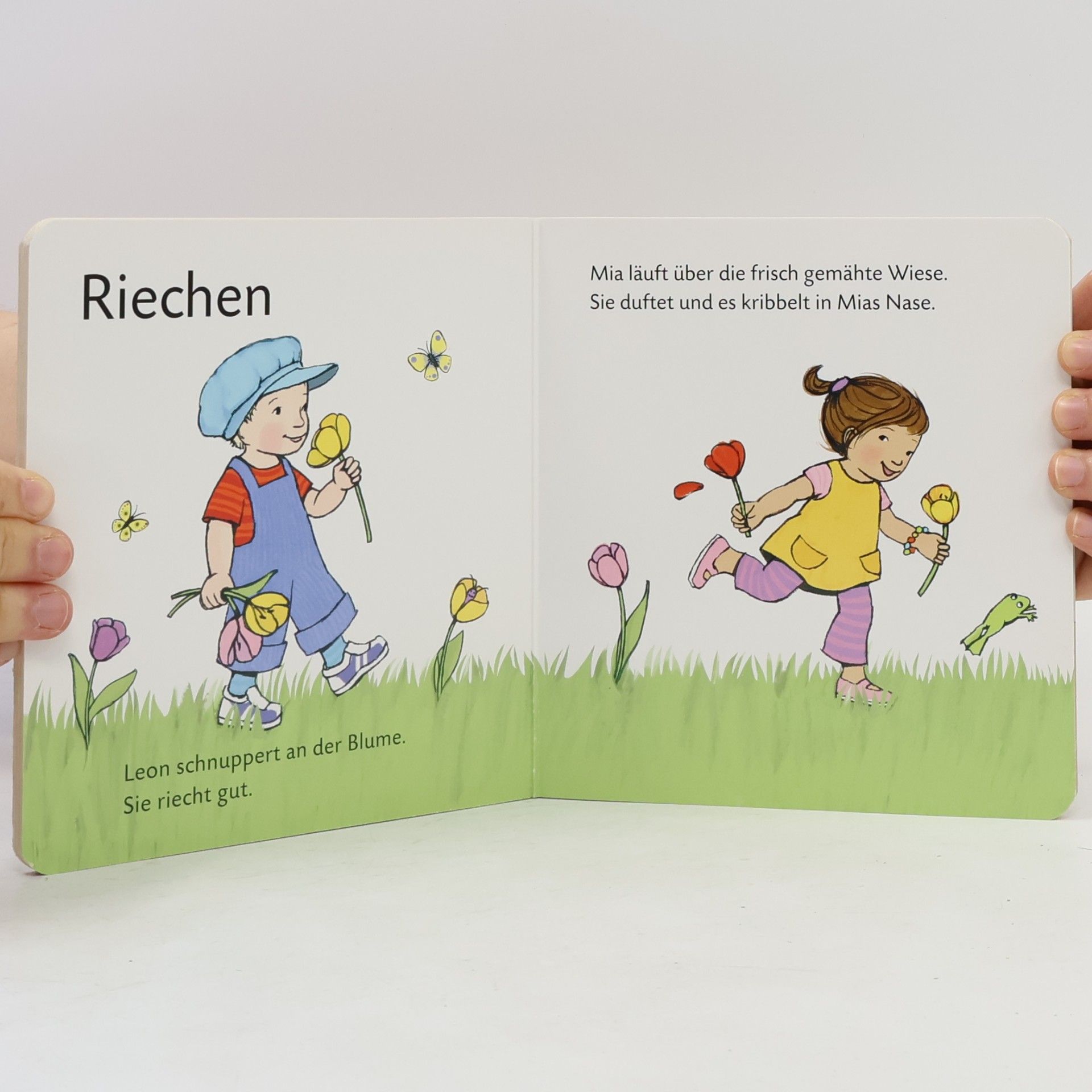 Autorenkollektiv Alle meine Sinne