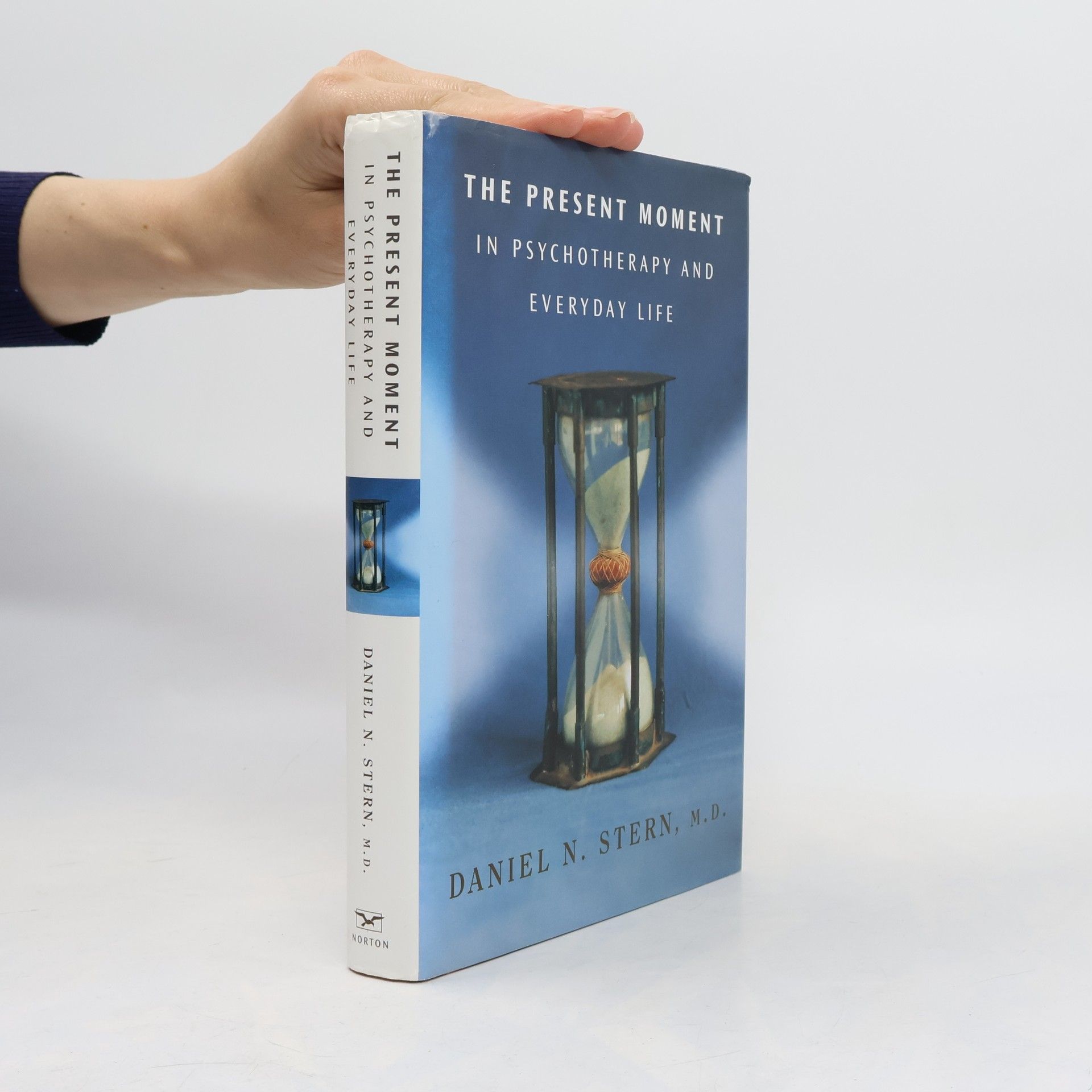 Daniel N. Stern, M.D. Norton Series on Interpersonal Neurobiology: The Present Moment in Psychotherapy and Everyday Life