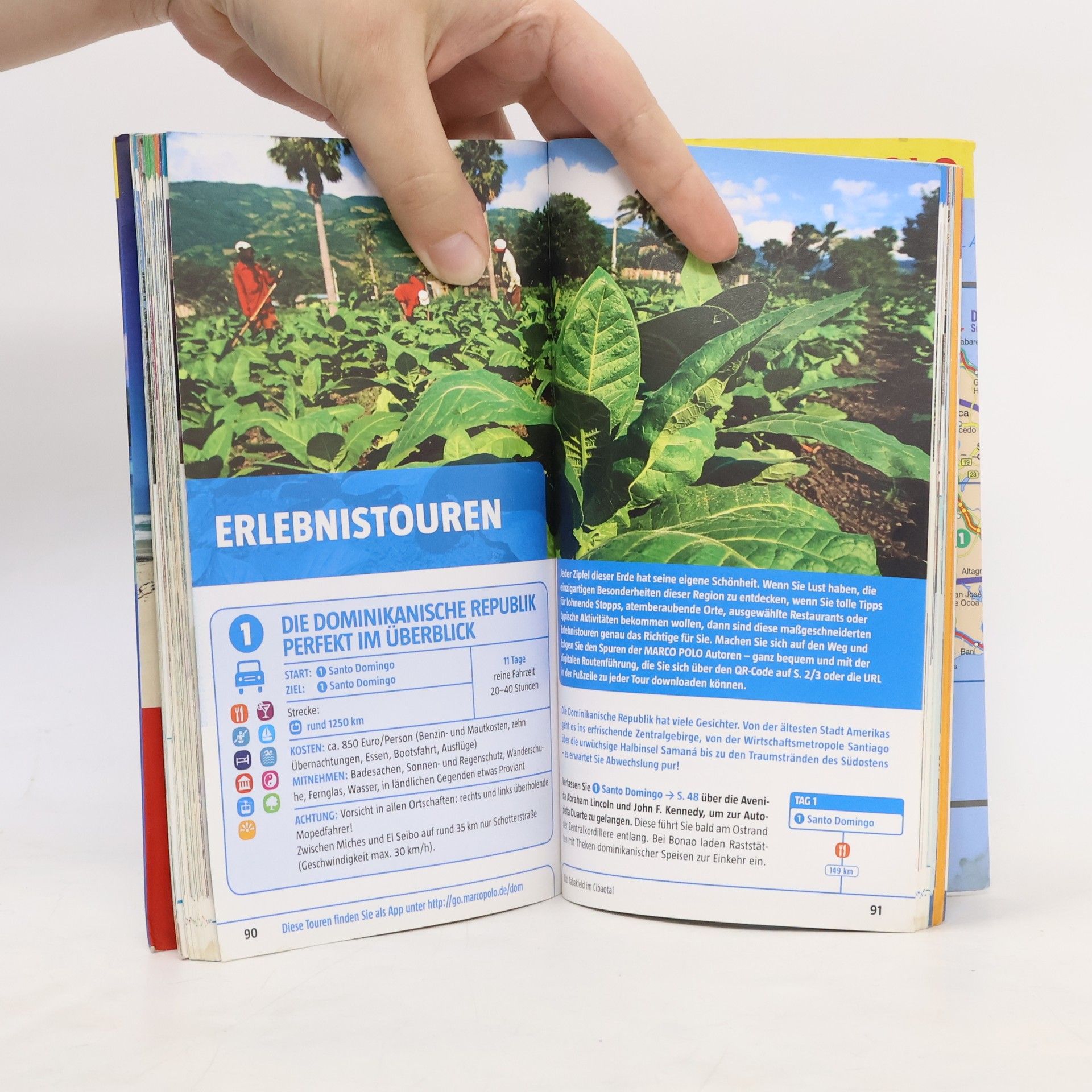 Gesine Froese Dominikanische Republik
