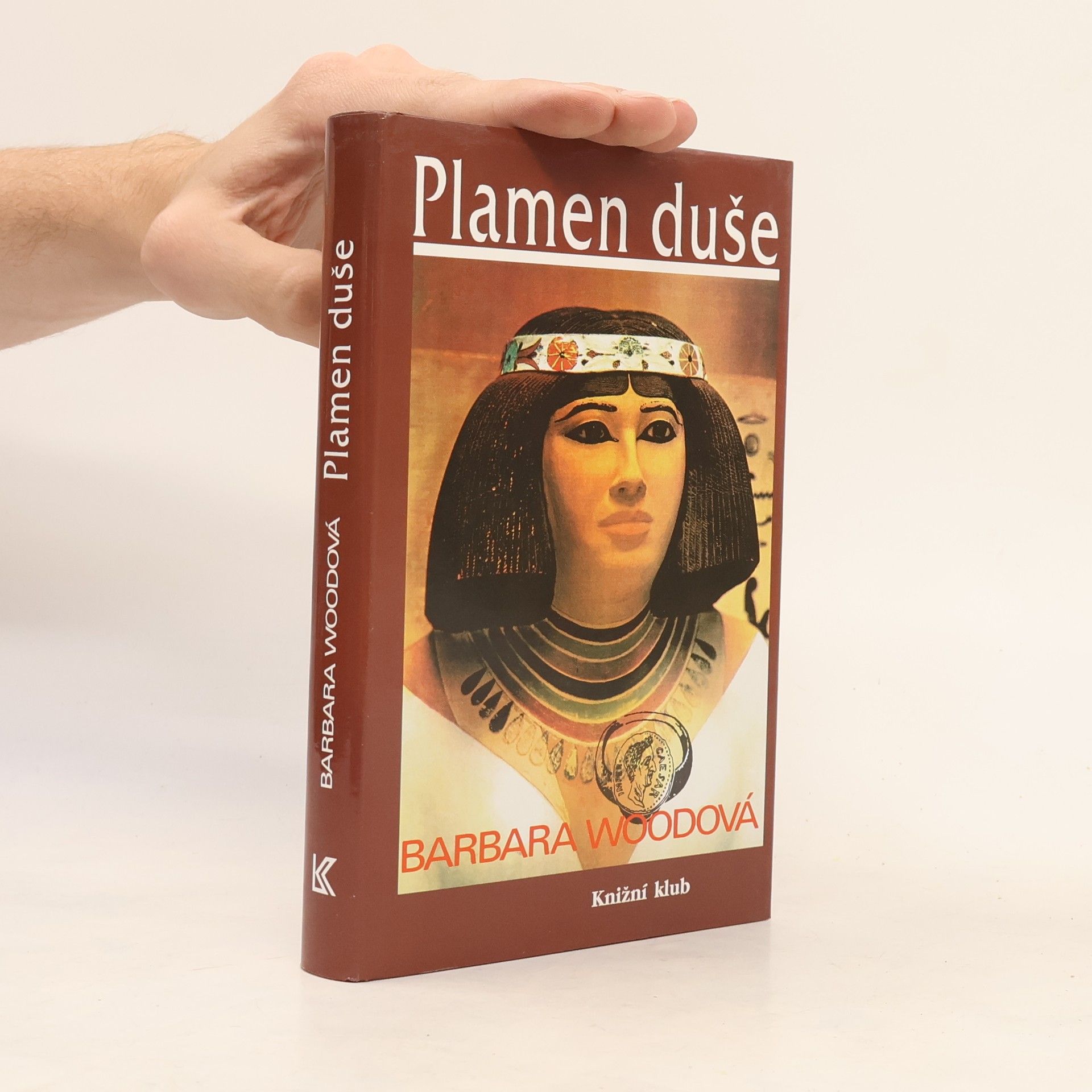 Barbara Wood Plamen duše