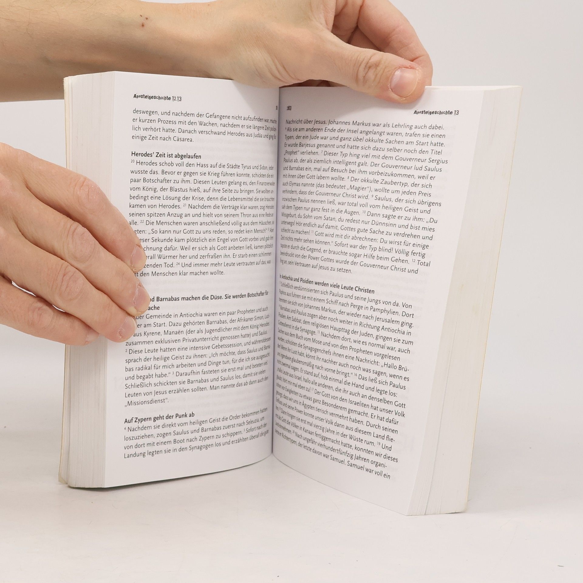 Martin Dreyer Die Volxbibel. Neues Testament