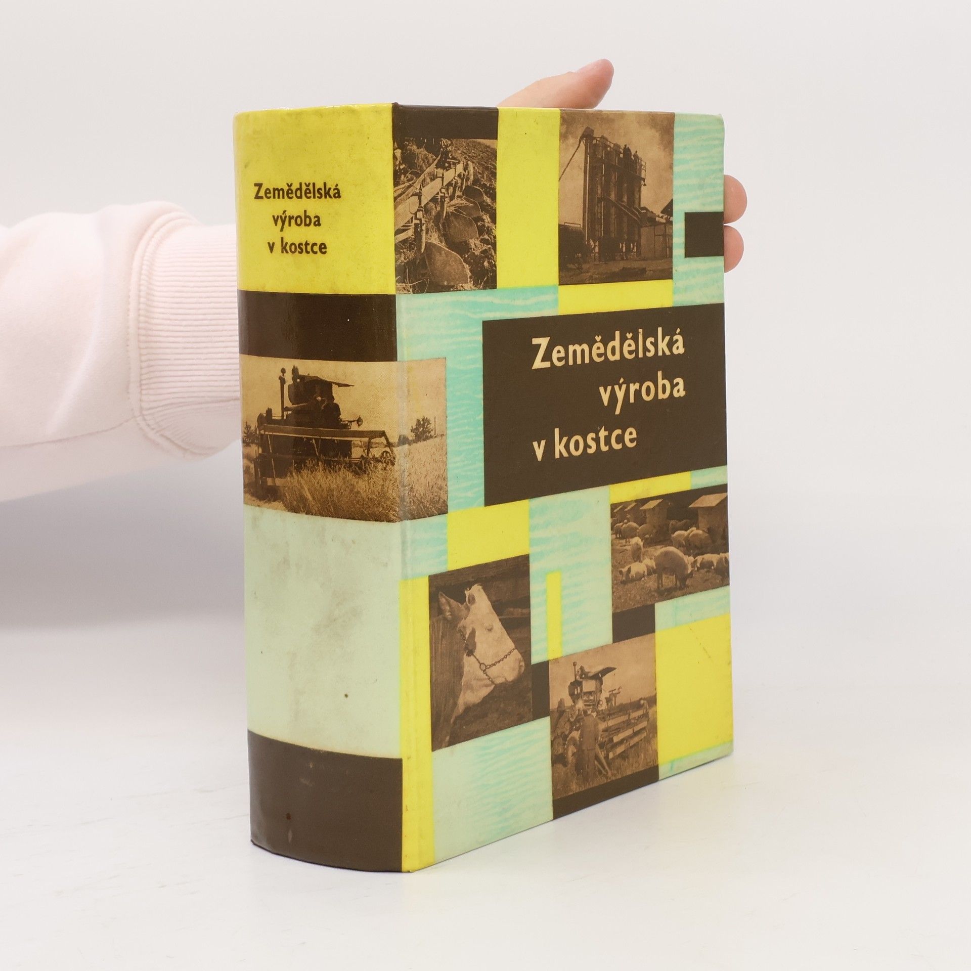 Vlastimil Forchtsam Zemědělská výroba v kostce
