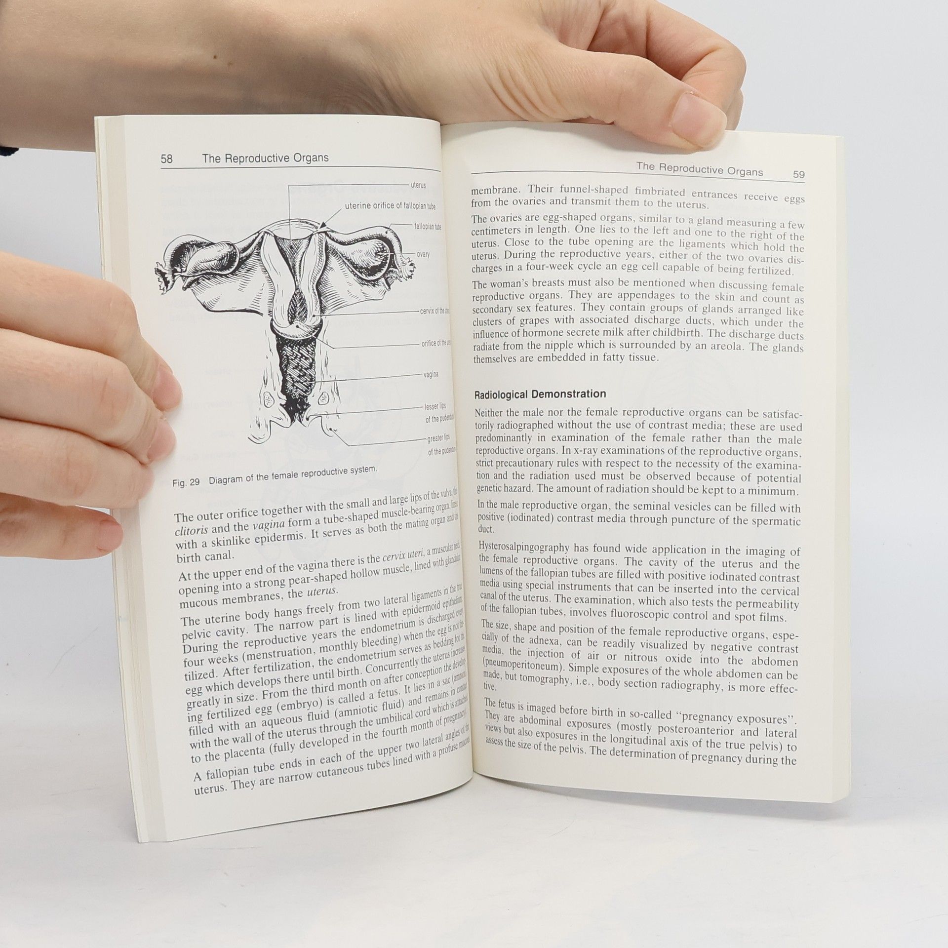 Wolfgang Frik Roentgenologic Anatomy