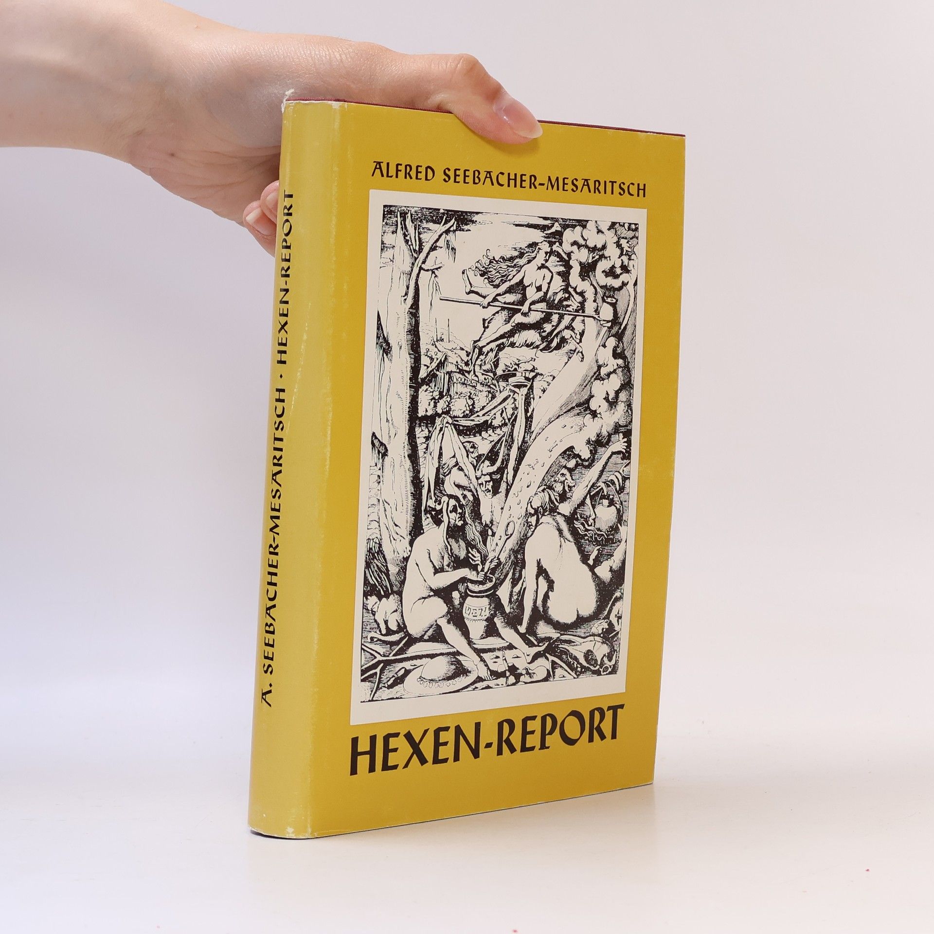 Alfred Seebacher Mesaritsch Hexen-Report